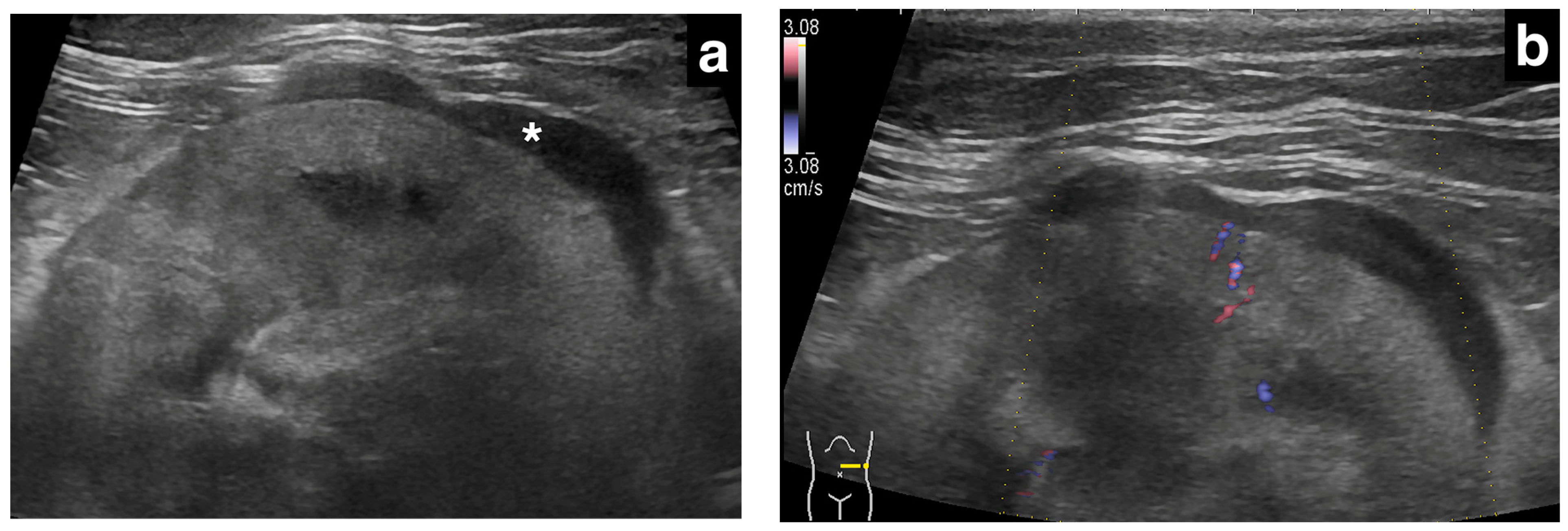 Vetsci 11 00134 g001