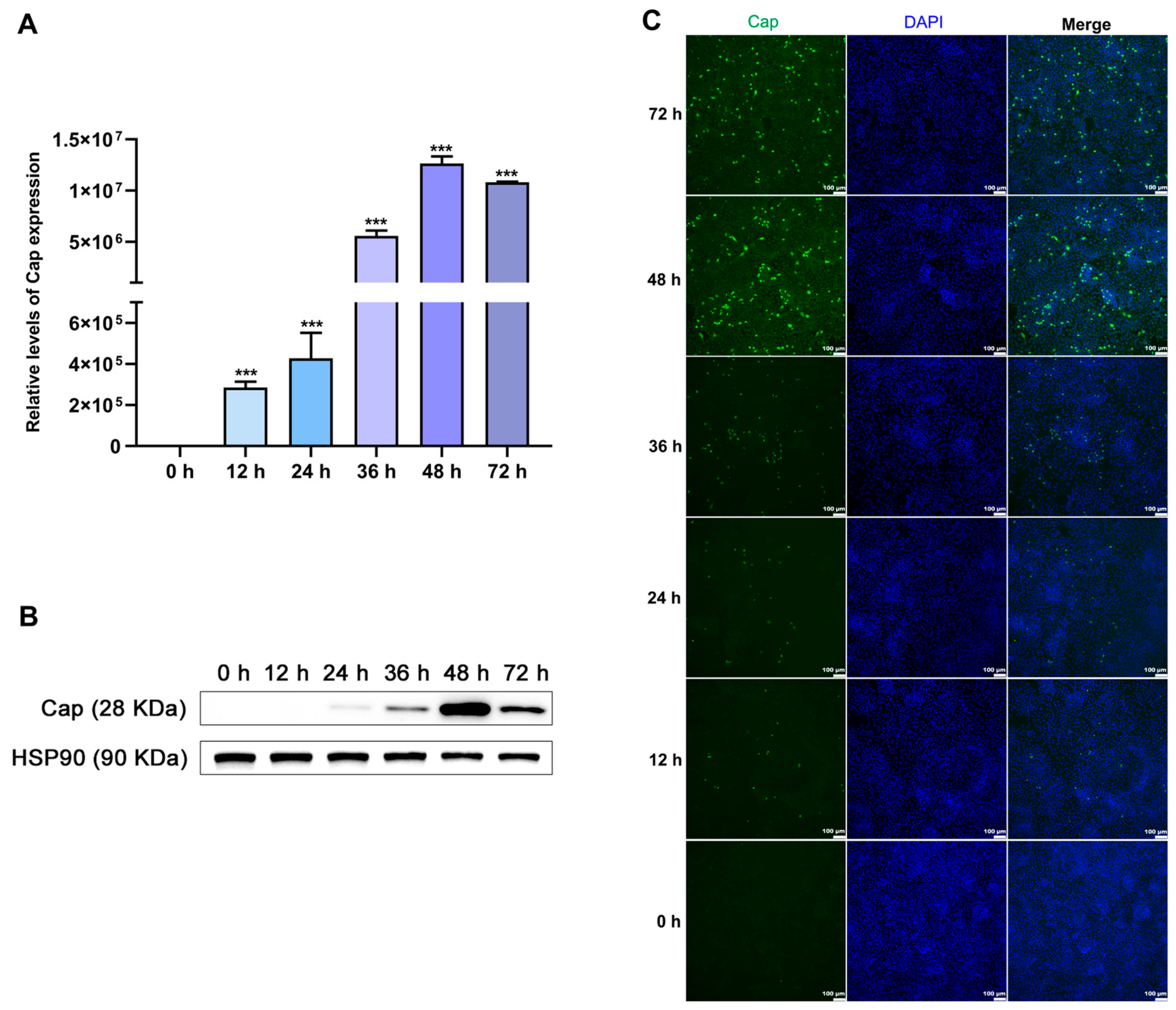 Vetsci 11 00135 g002 Vetsci 11 00135 g002