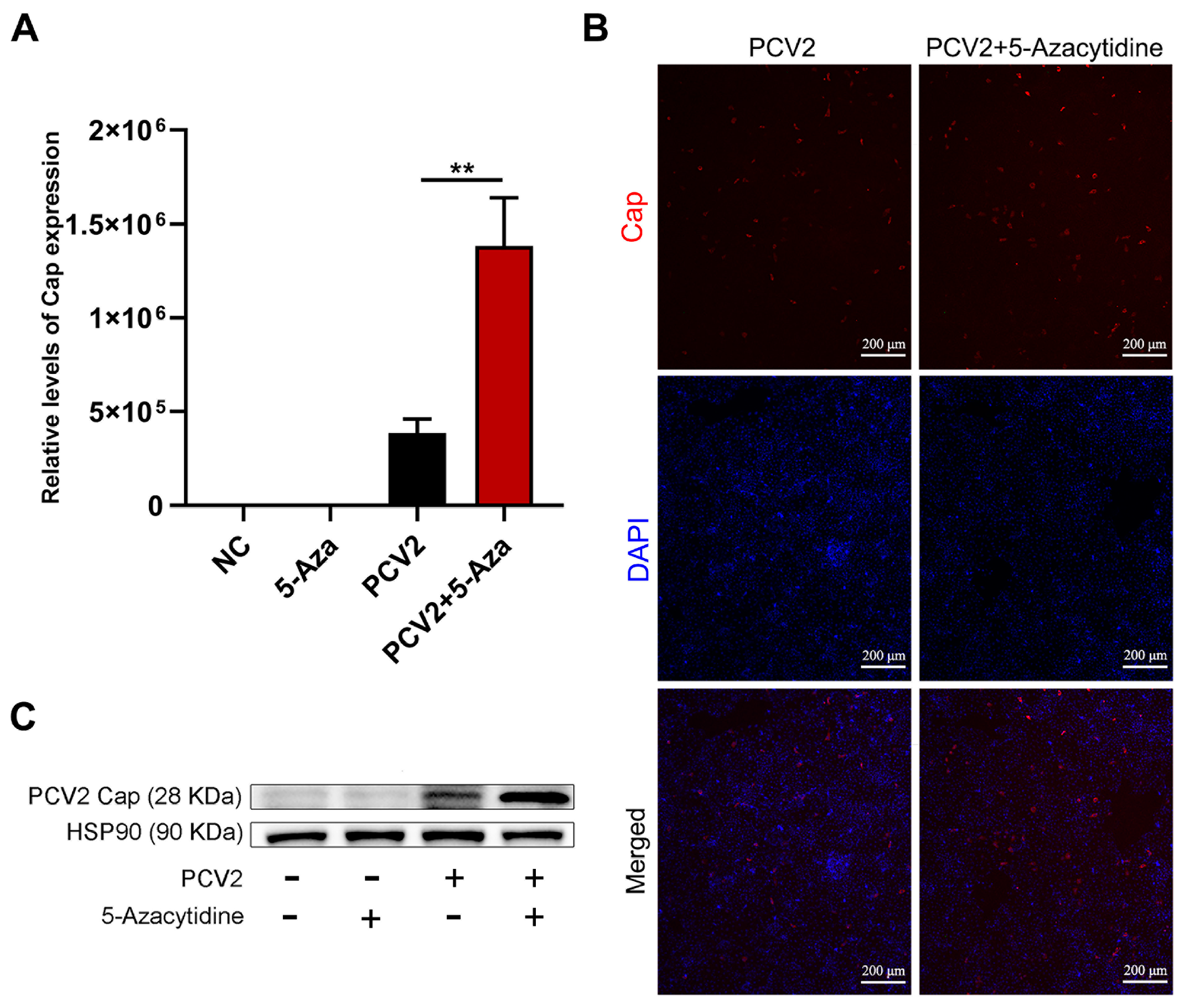 Vetsci 11 00135 g003 Vetsci 11 00135 g003