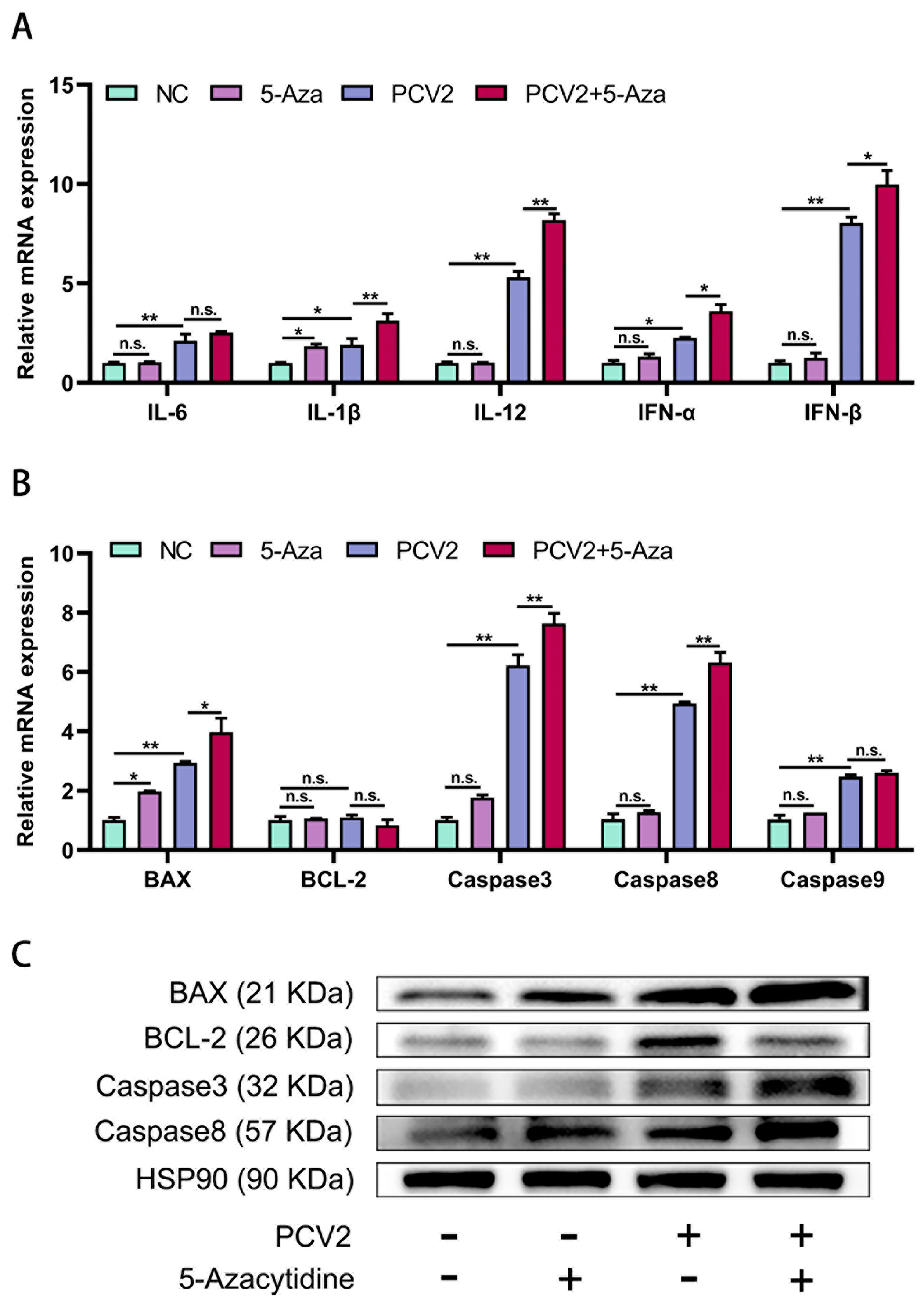 Vetsci 11 00135 g004 Vetsci 11 00135 g004