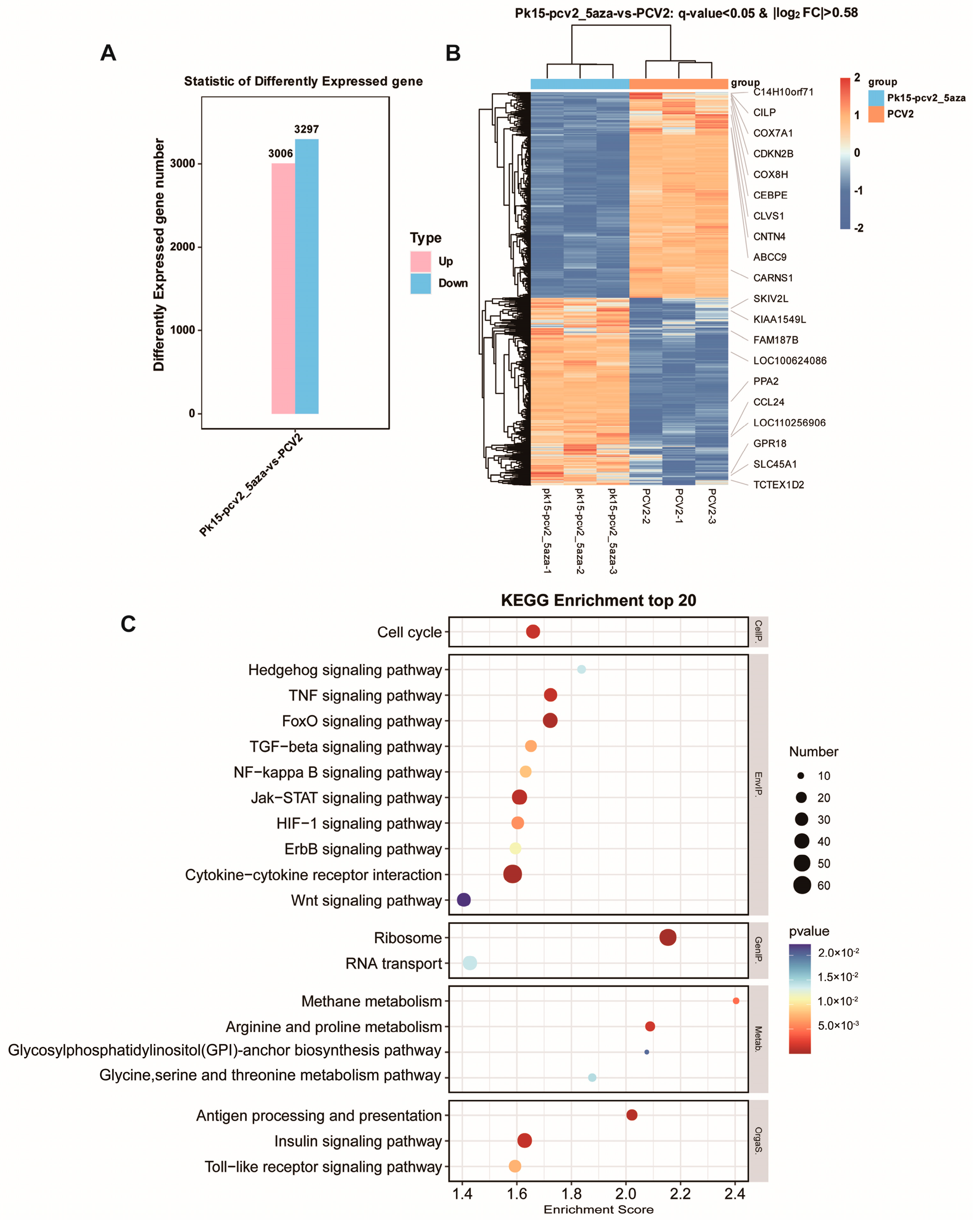 Vetsci 11 00135 g006 Vetsci 11 00135 g006