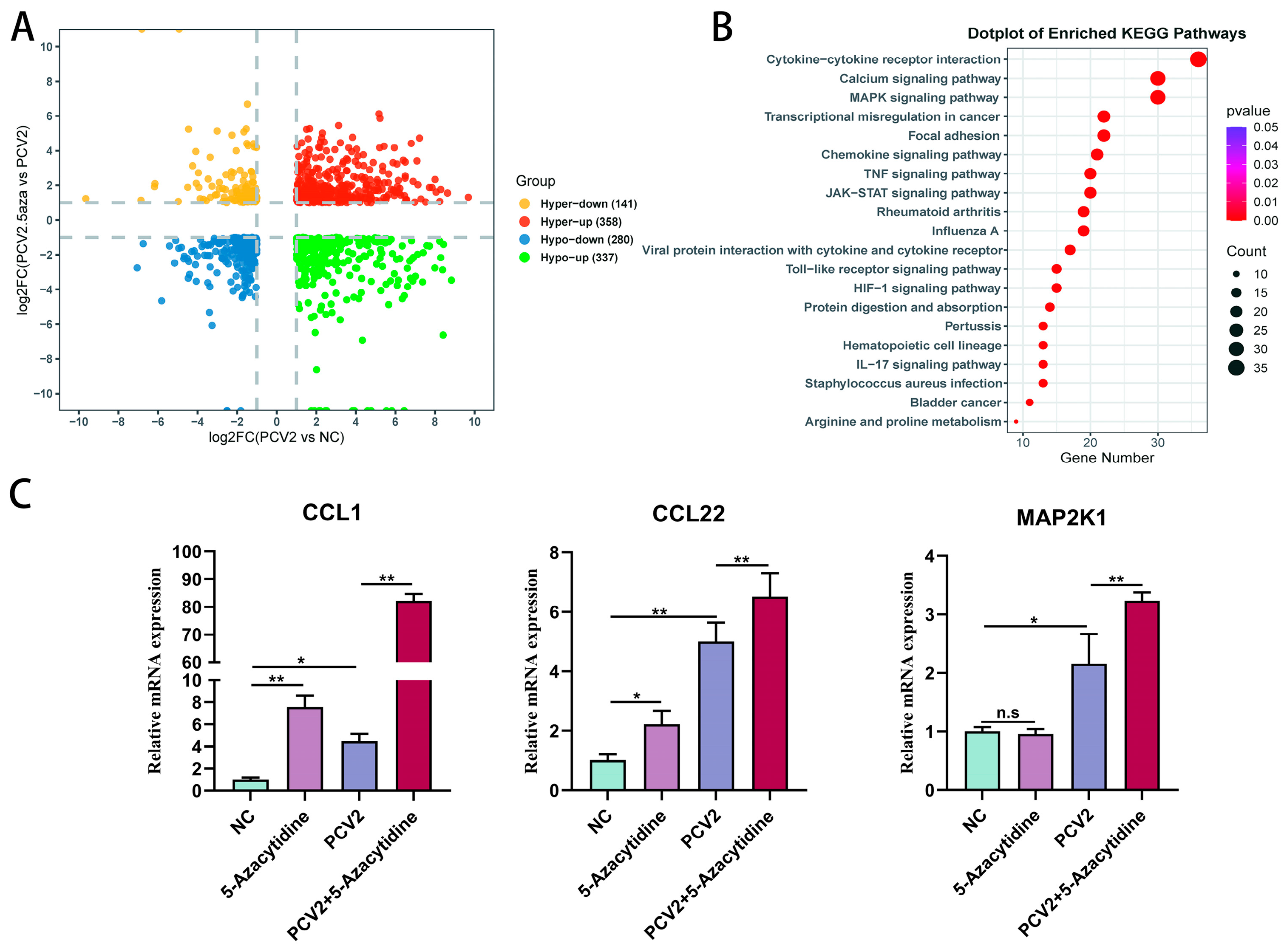 Vetsci 11 00135 g007 Vetsci 11 00135 g007