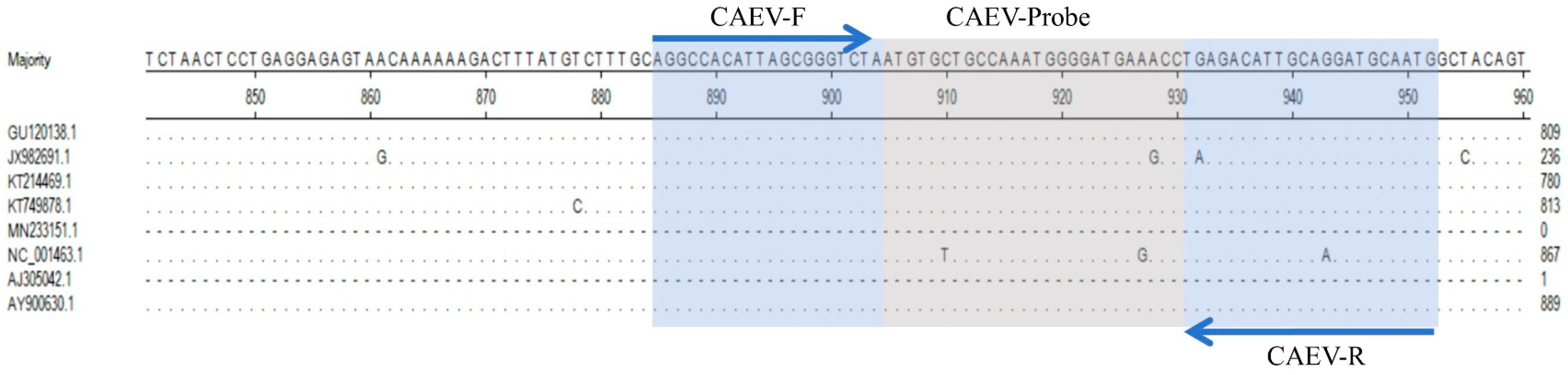 Vetsci 11 00138 g001
