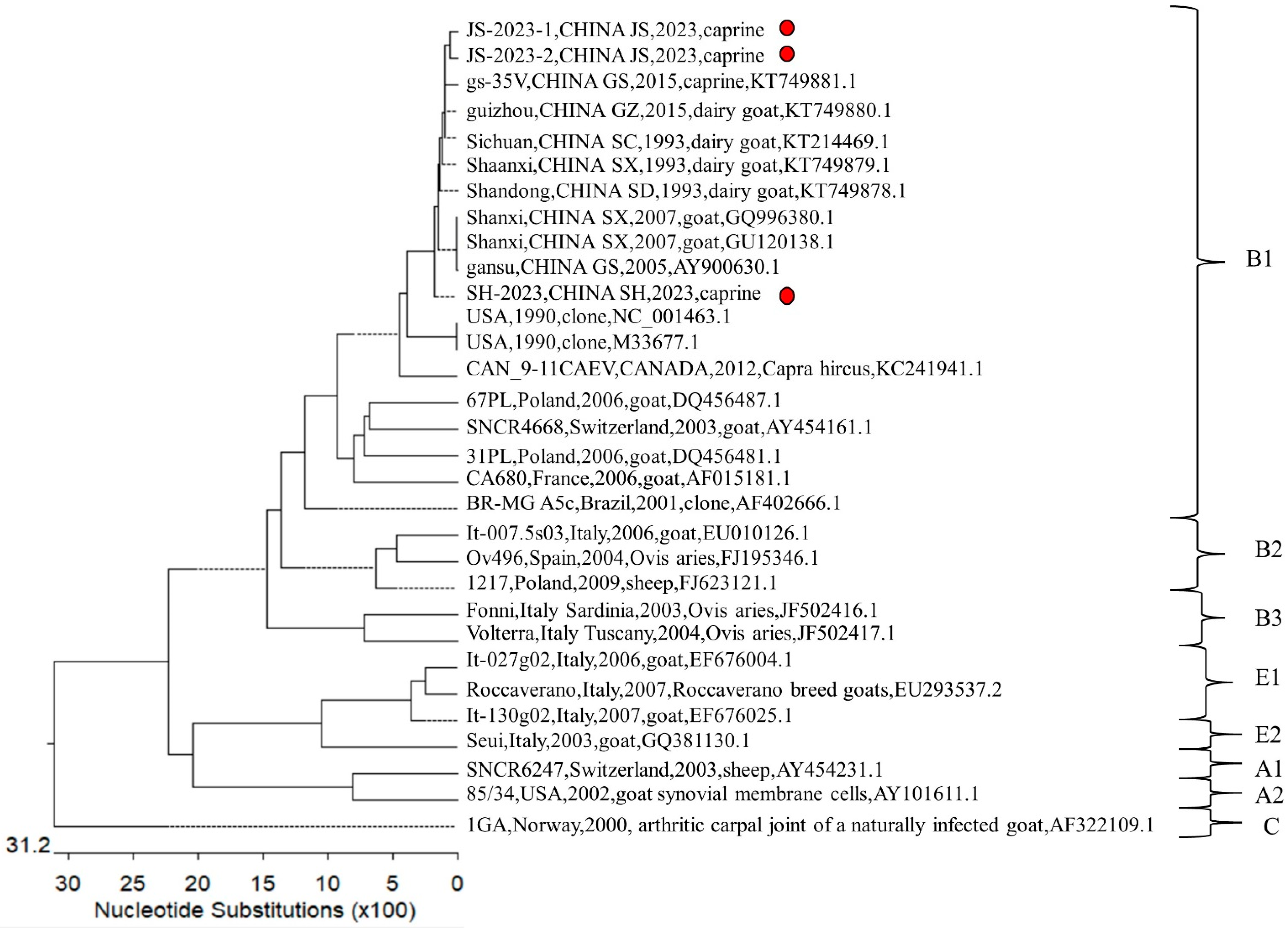 Vetsci 11 00138 g004