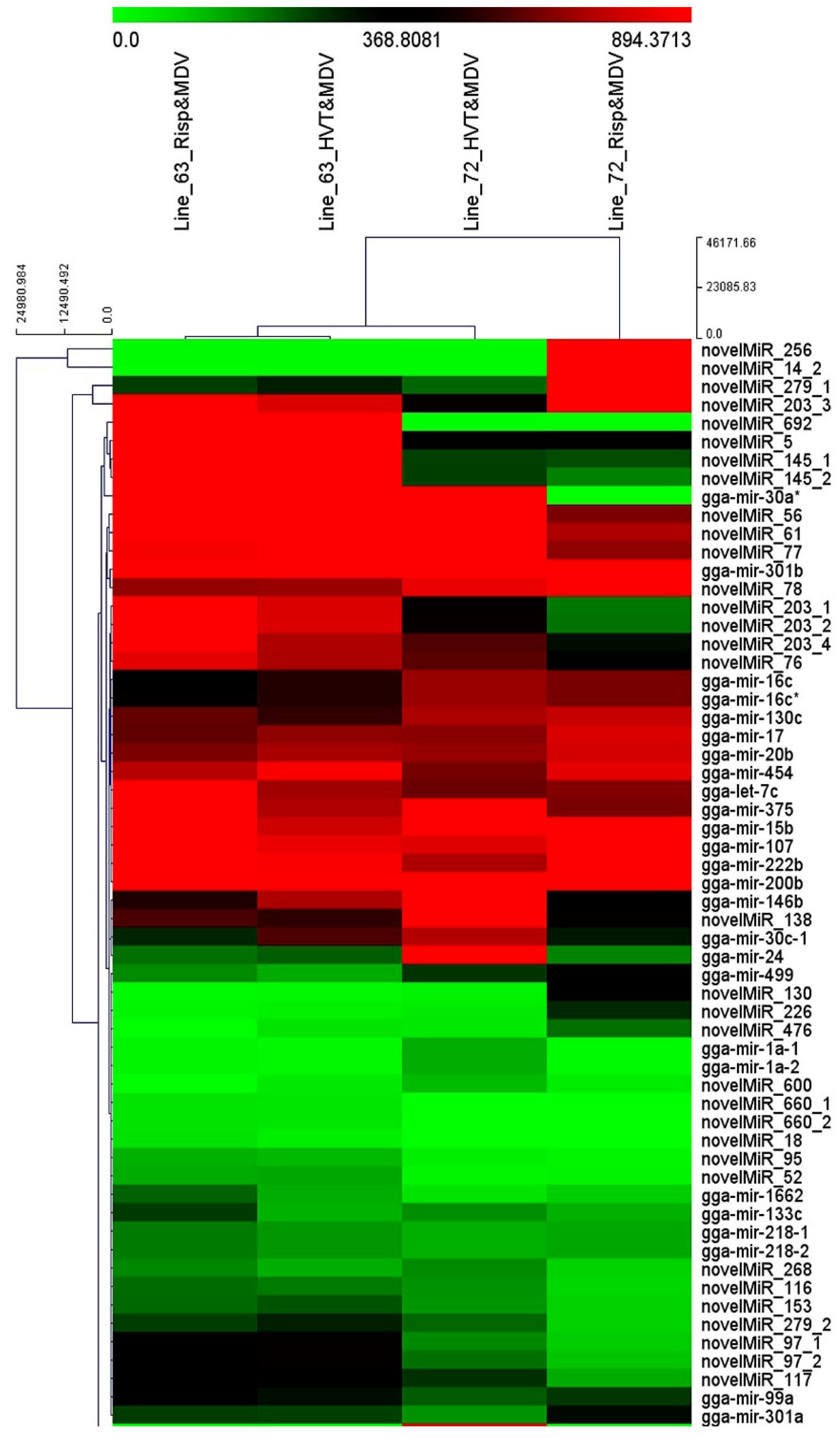 Vetsci 11 00139 g002
