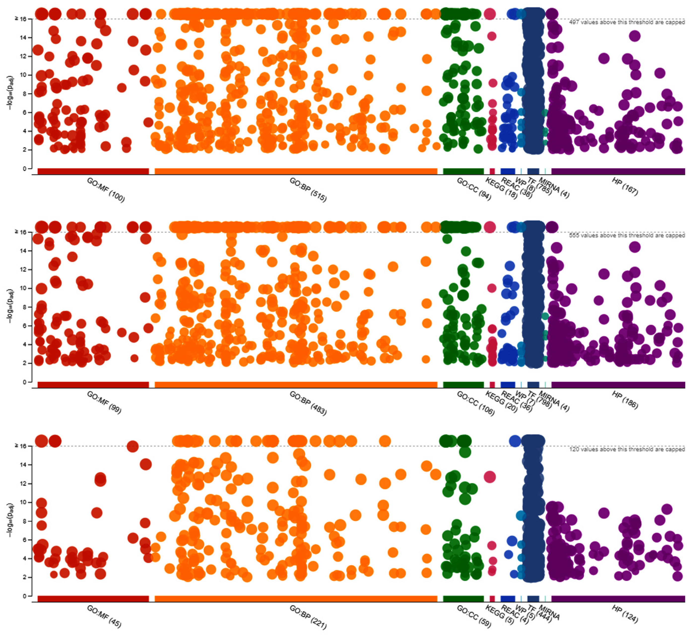 Vetsci 11 00139 g004