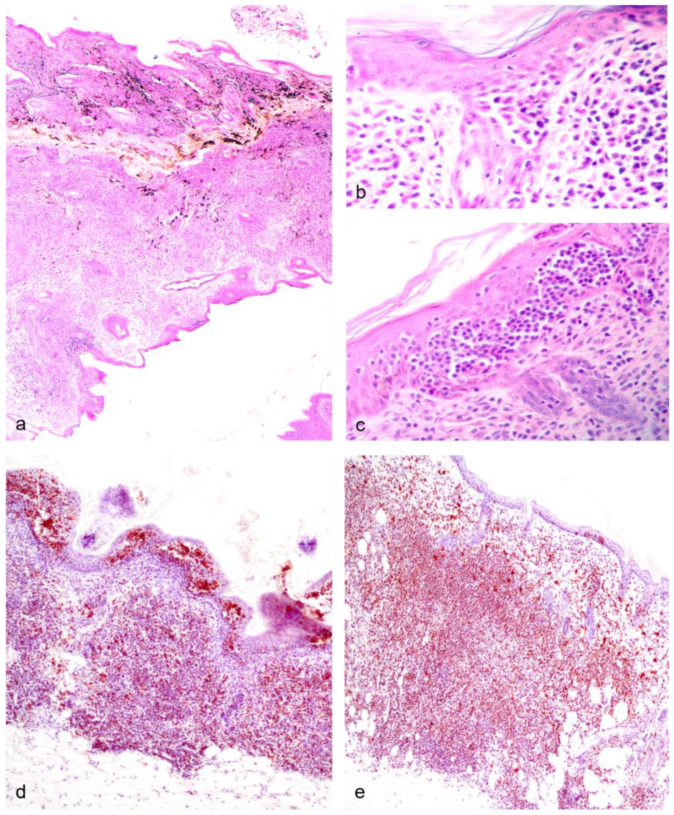 Vetsci 11 00142 g005