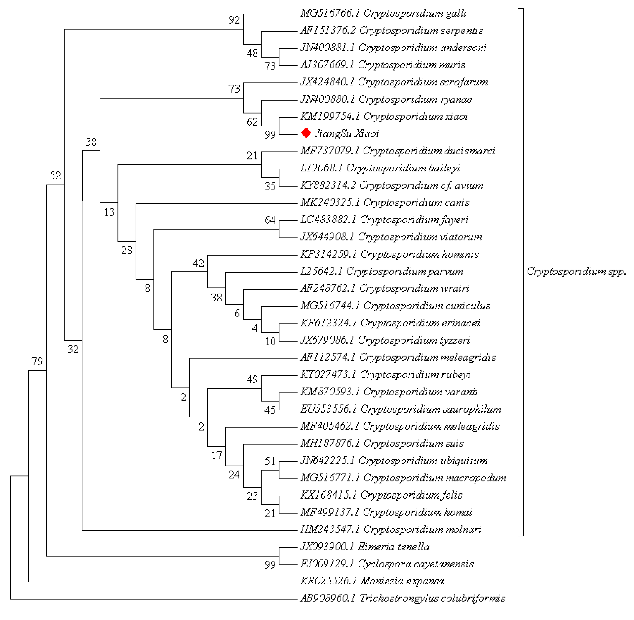 Vetsci 11 00144 g003