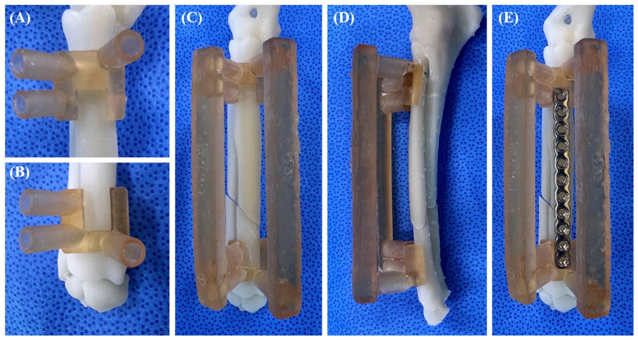 Vetsci 11 00145 g003 Vetsci 11 00145 g003
