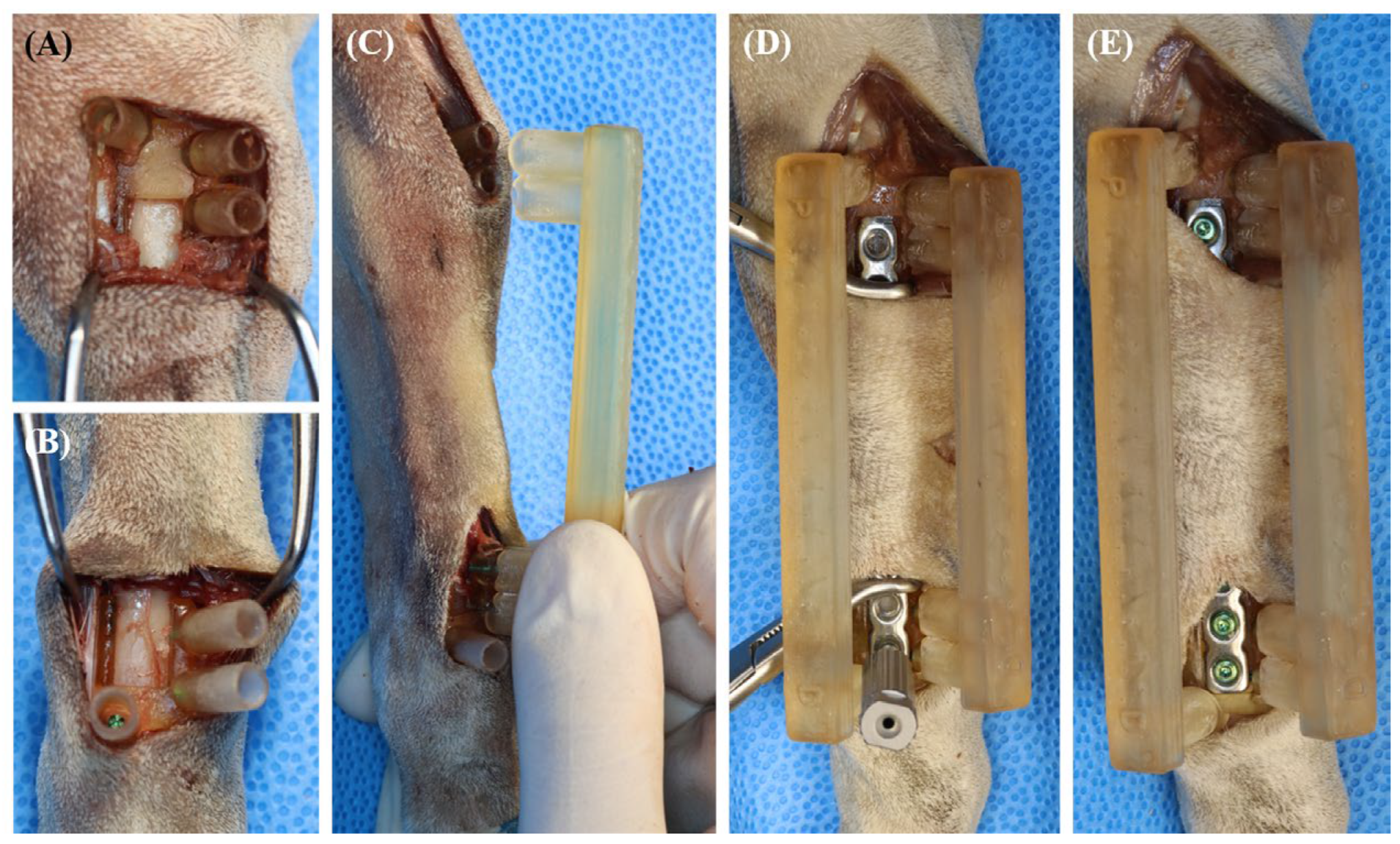 Vetsci 11 00145 g004 Vetsci 11 00145 g004