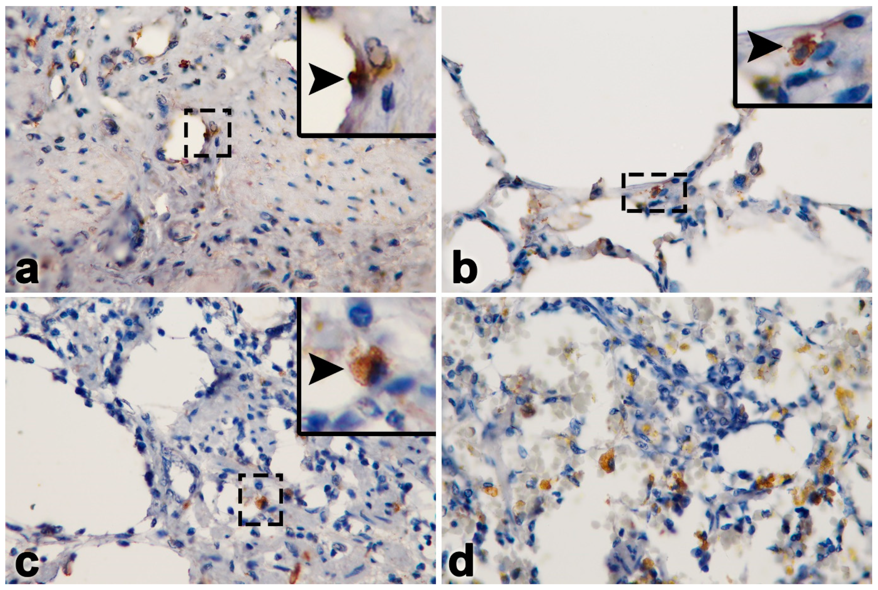 Vetsci 11 00147 g003