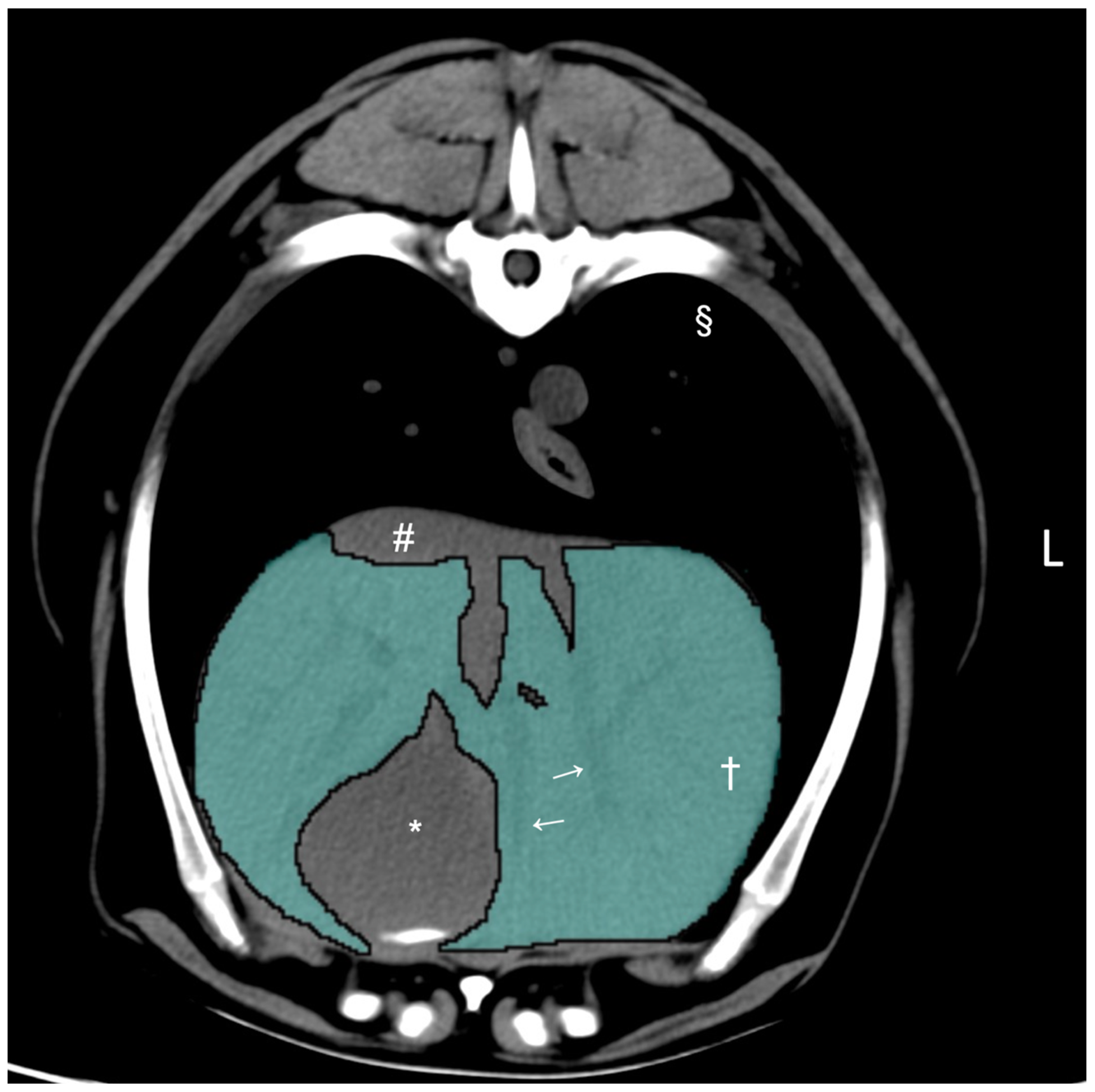 Vetsci 11 00153 g001