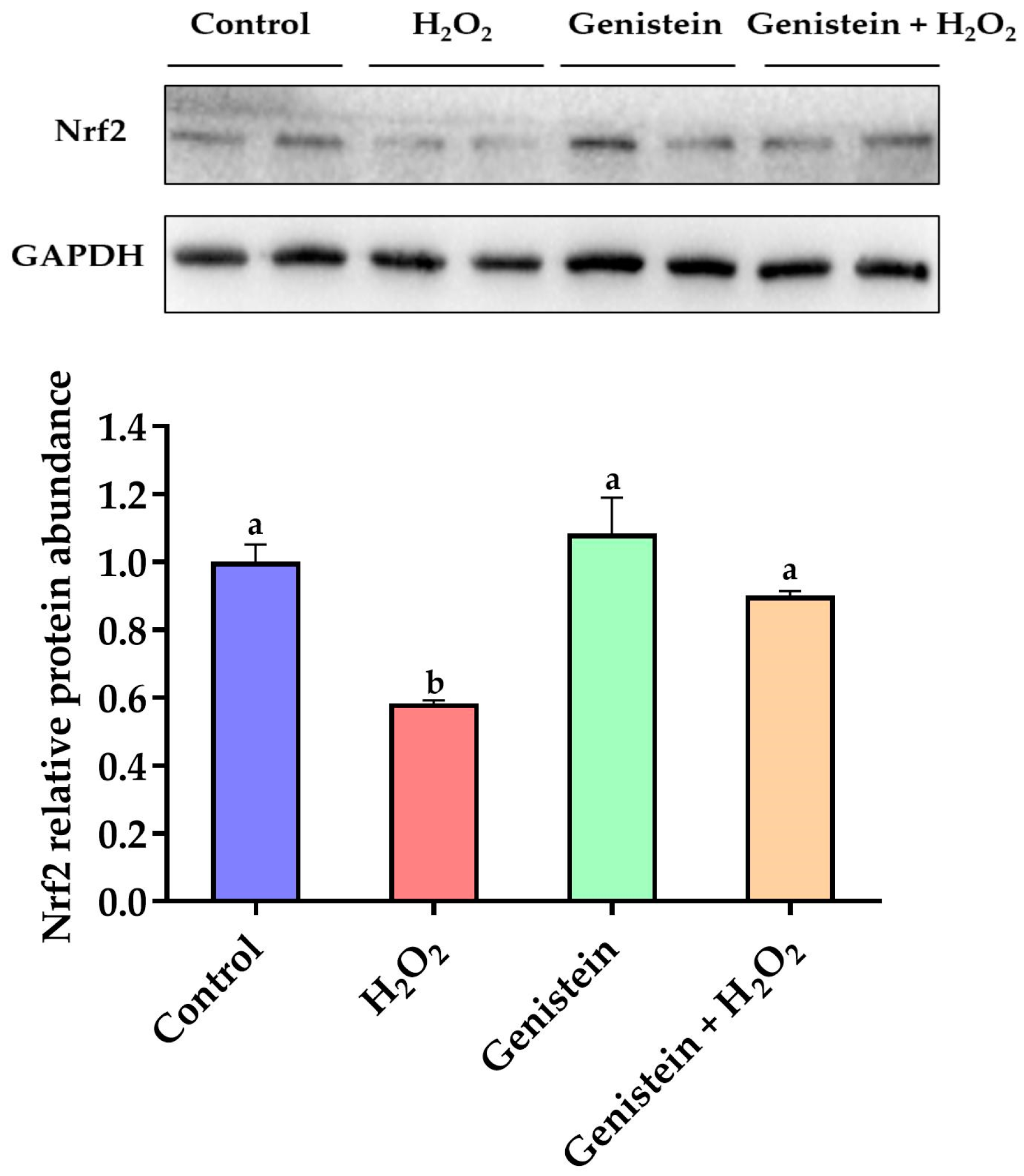 Vetsci 11 00154 g006