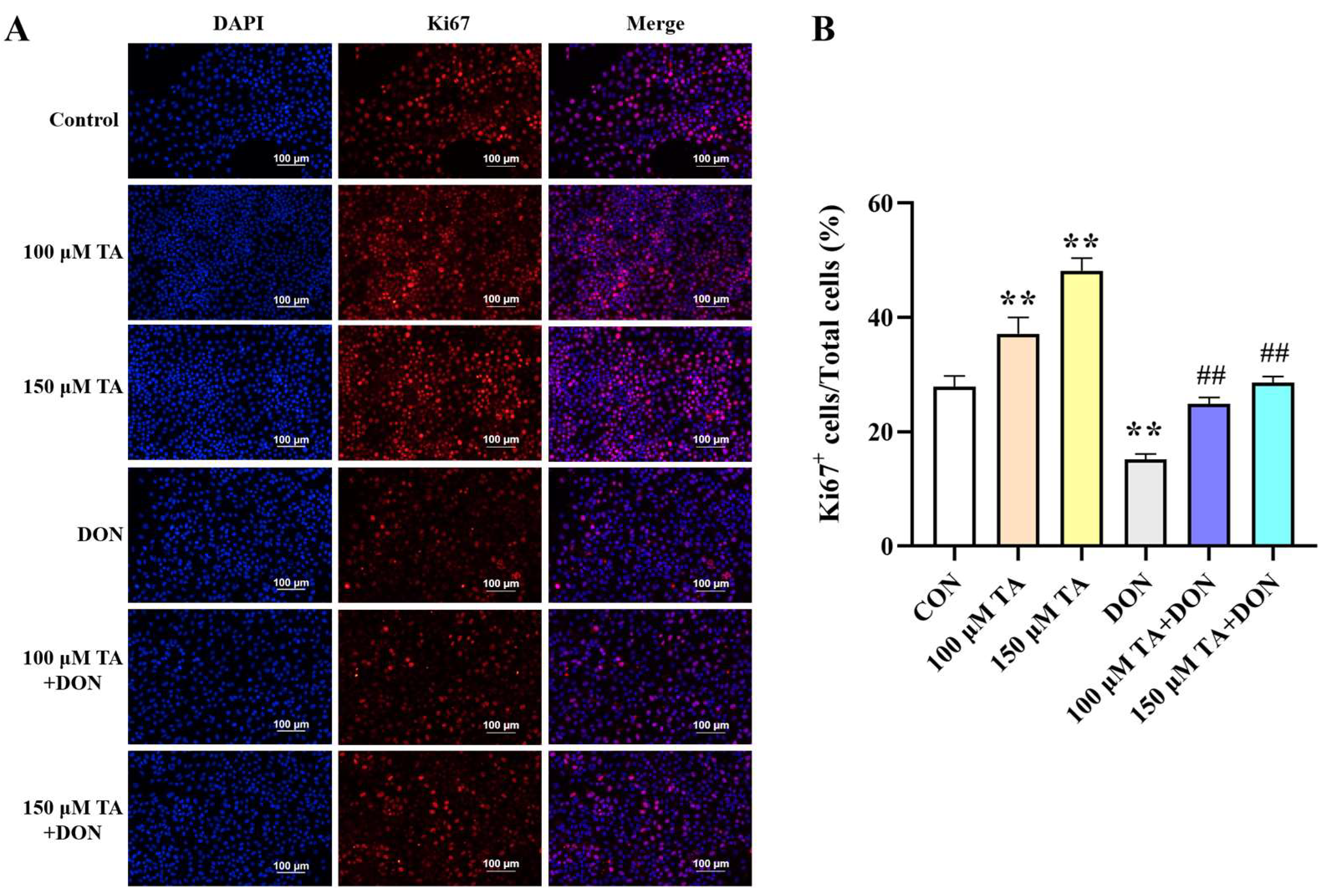 Vetsci 11 00156 g002