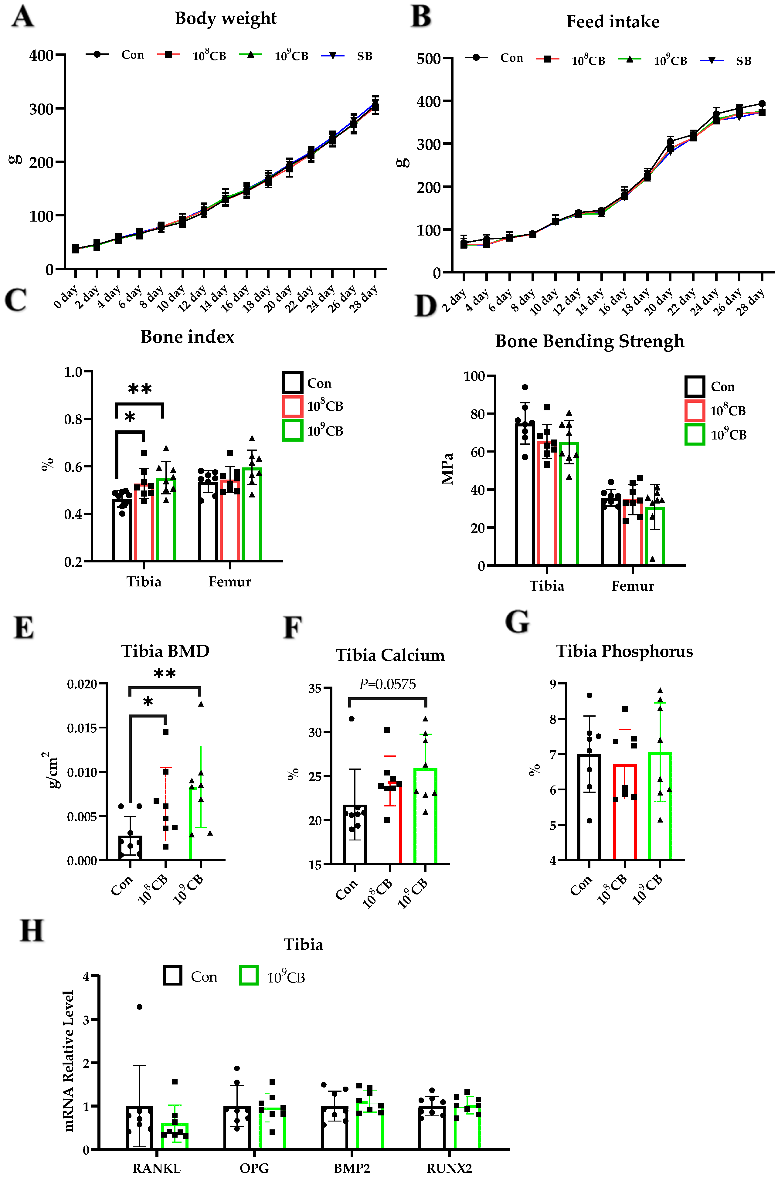 Vetsci 11 00160 g001