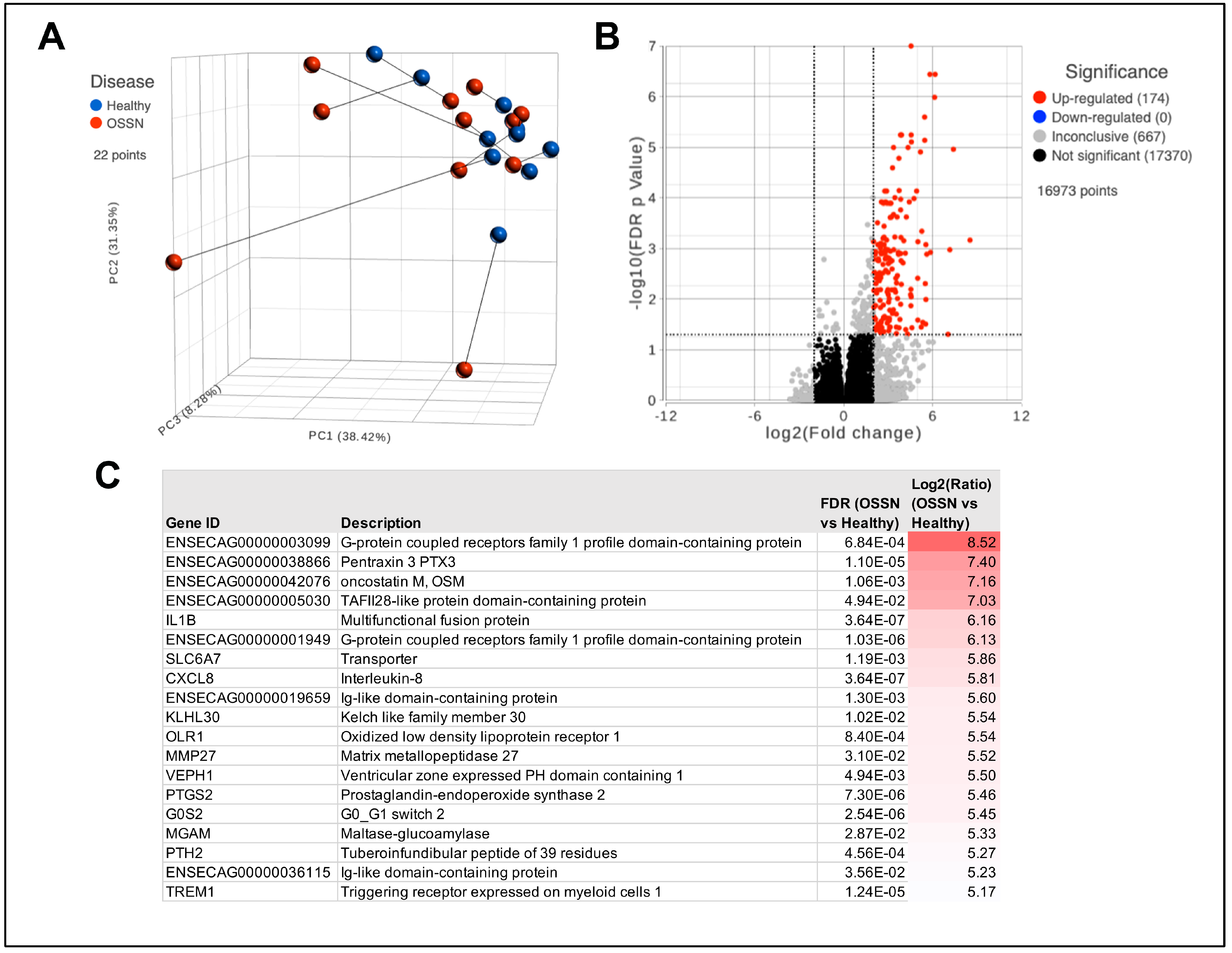 Vetsci 11 00167 g001