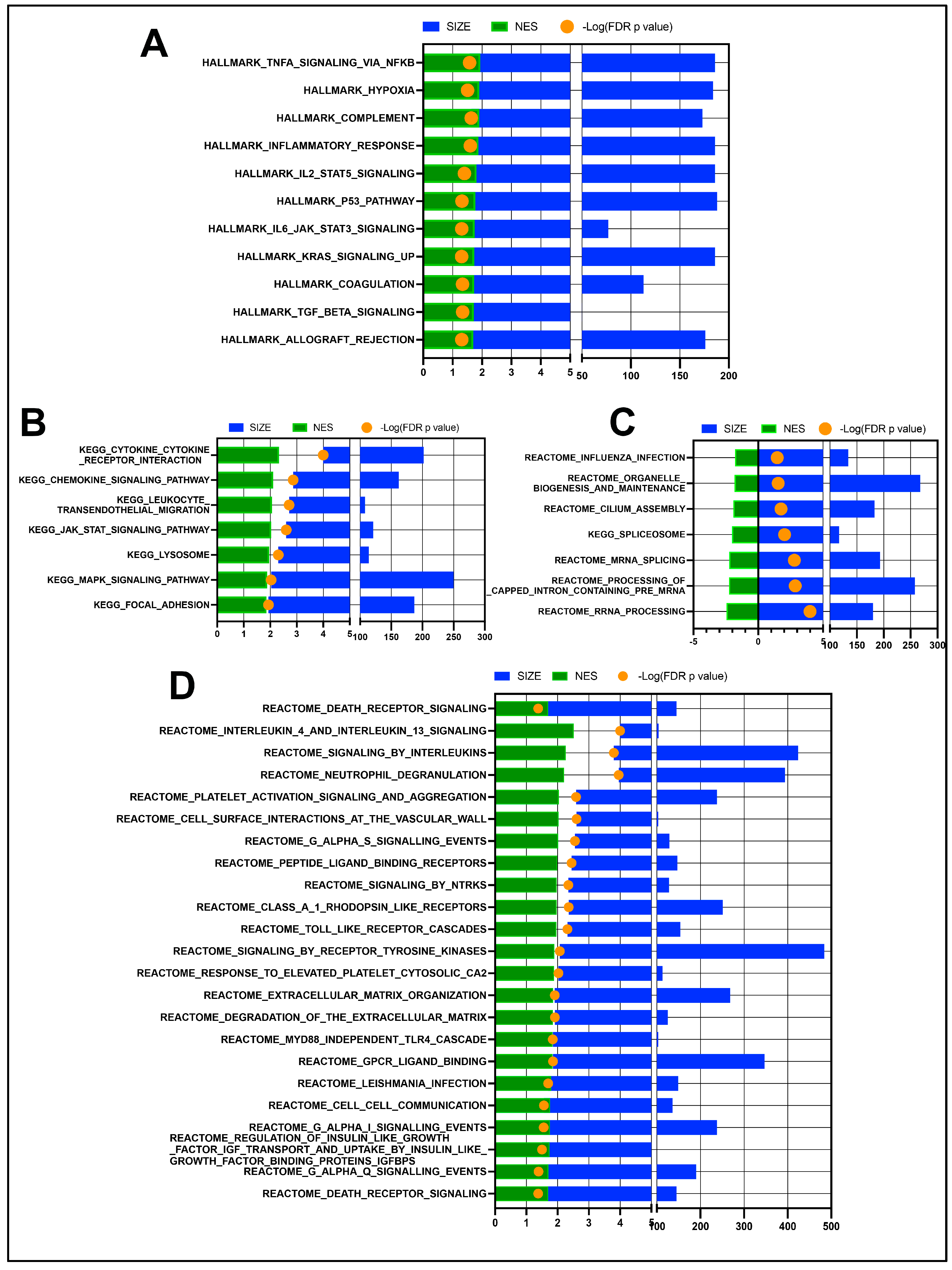 Vetsci 11 00167 g002