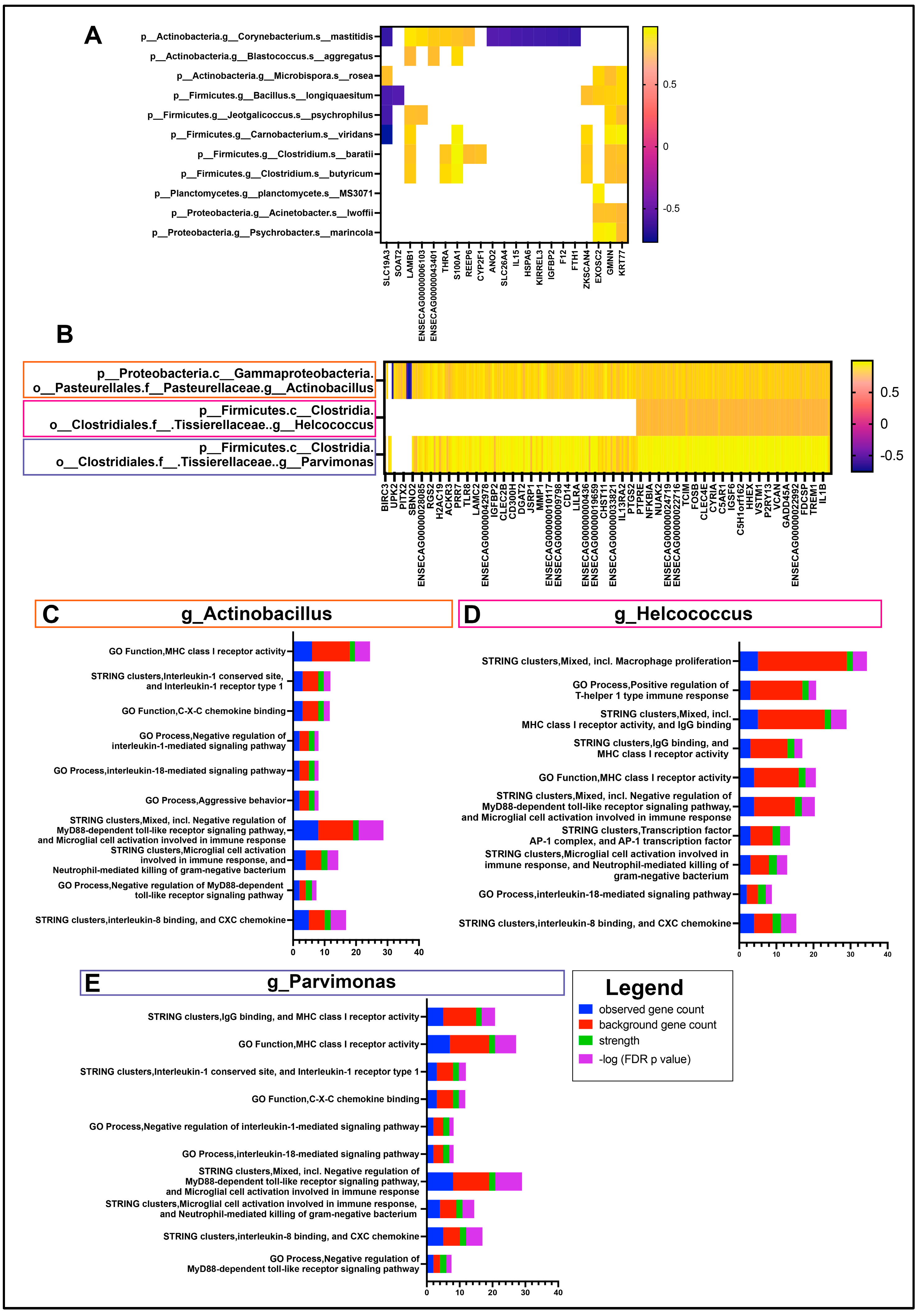 Vetsci 11 00167 g004