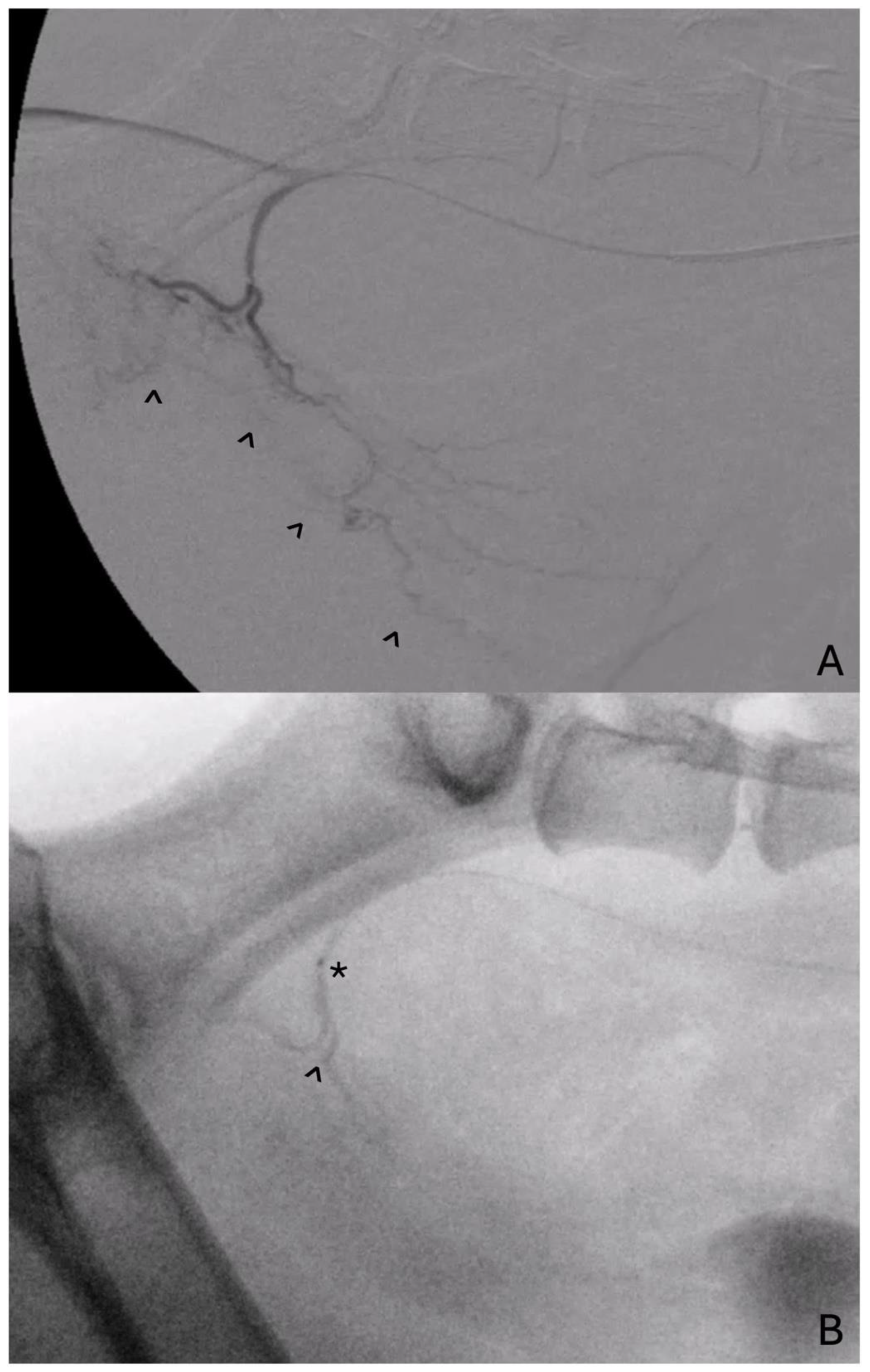 Vetsci 11 00169 g001