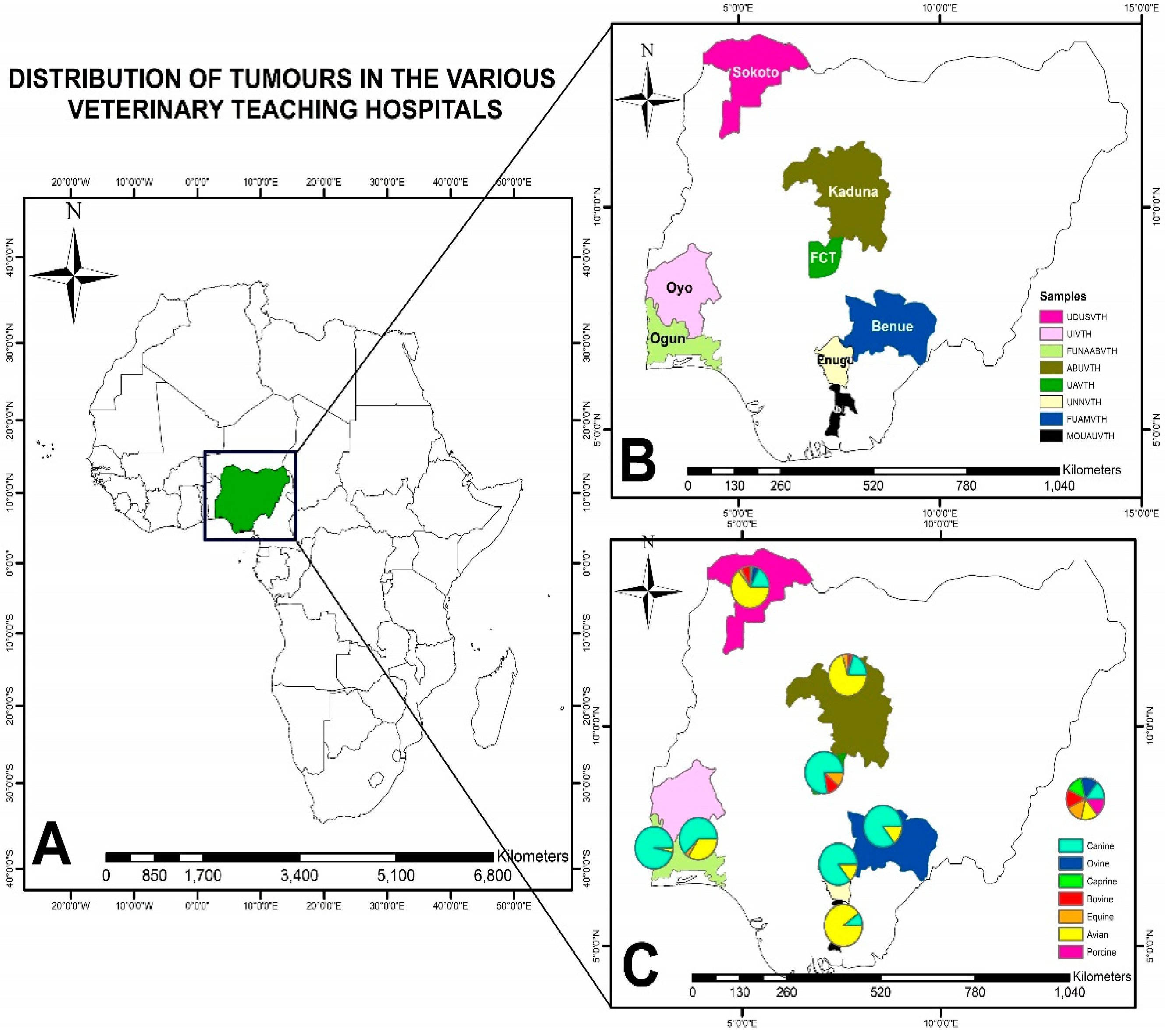 Vetsci 11 00175 g003