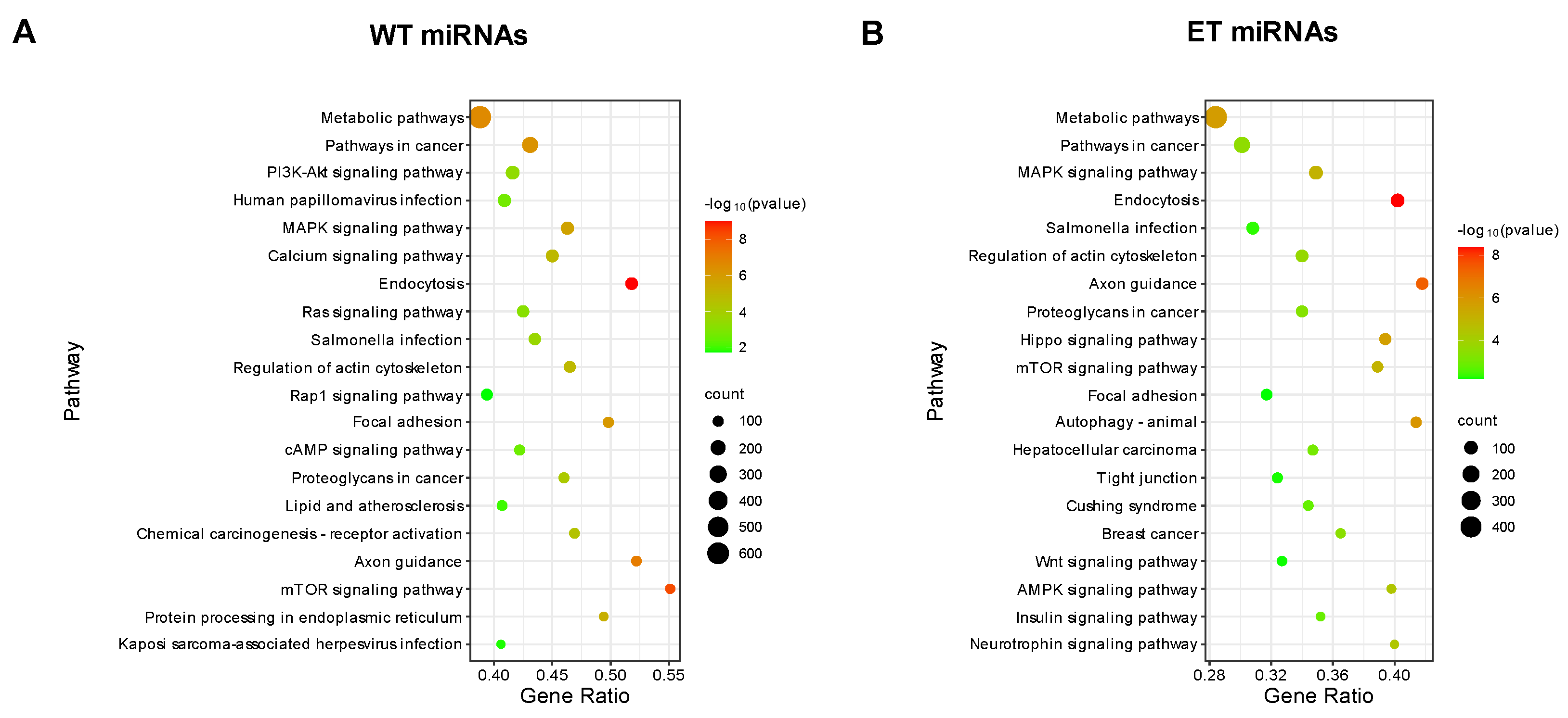 Vetsci 11 00183 g006