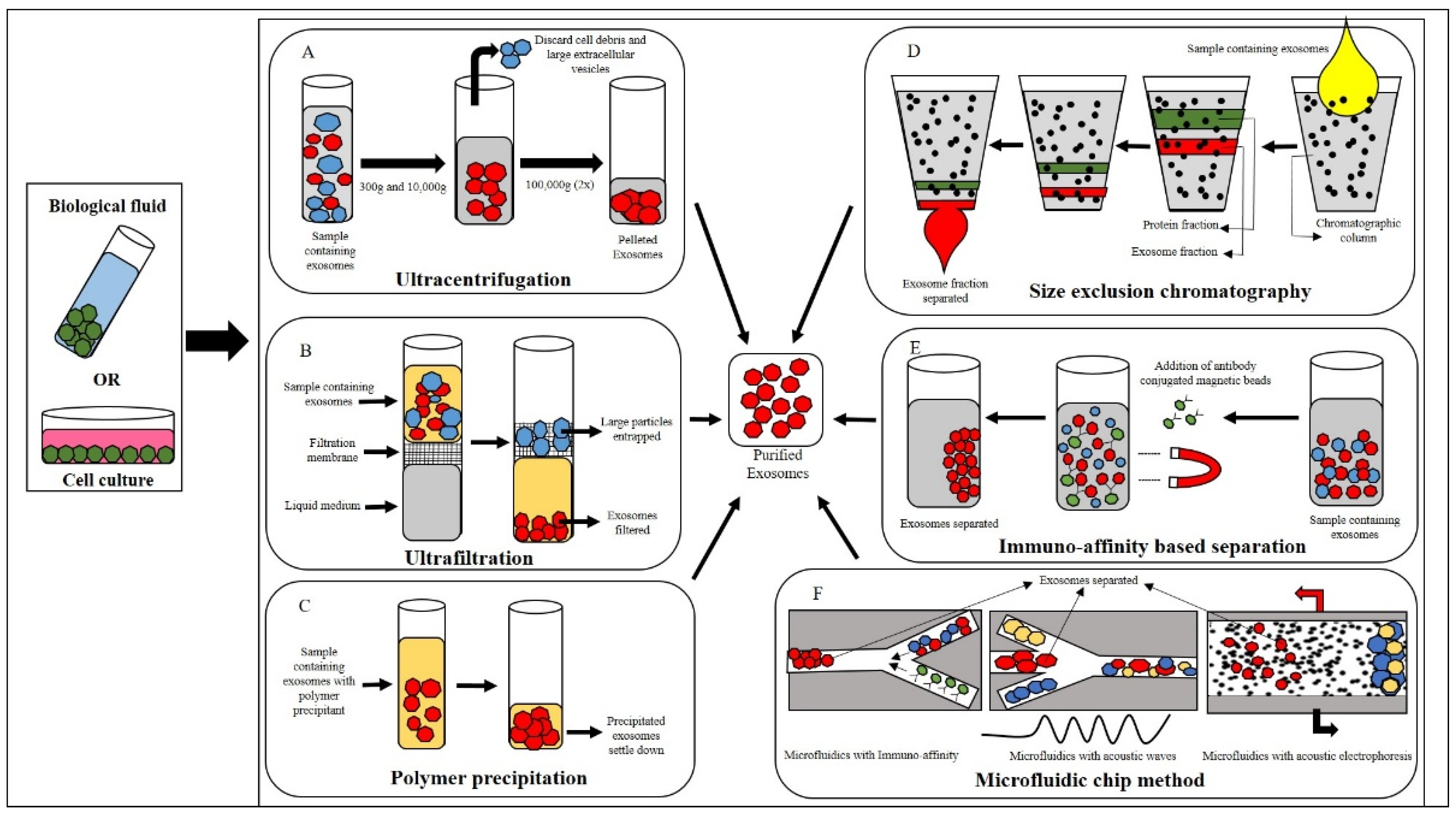 Vetsci 11 00187 g001