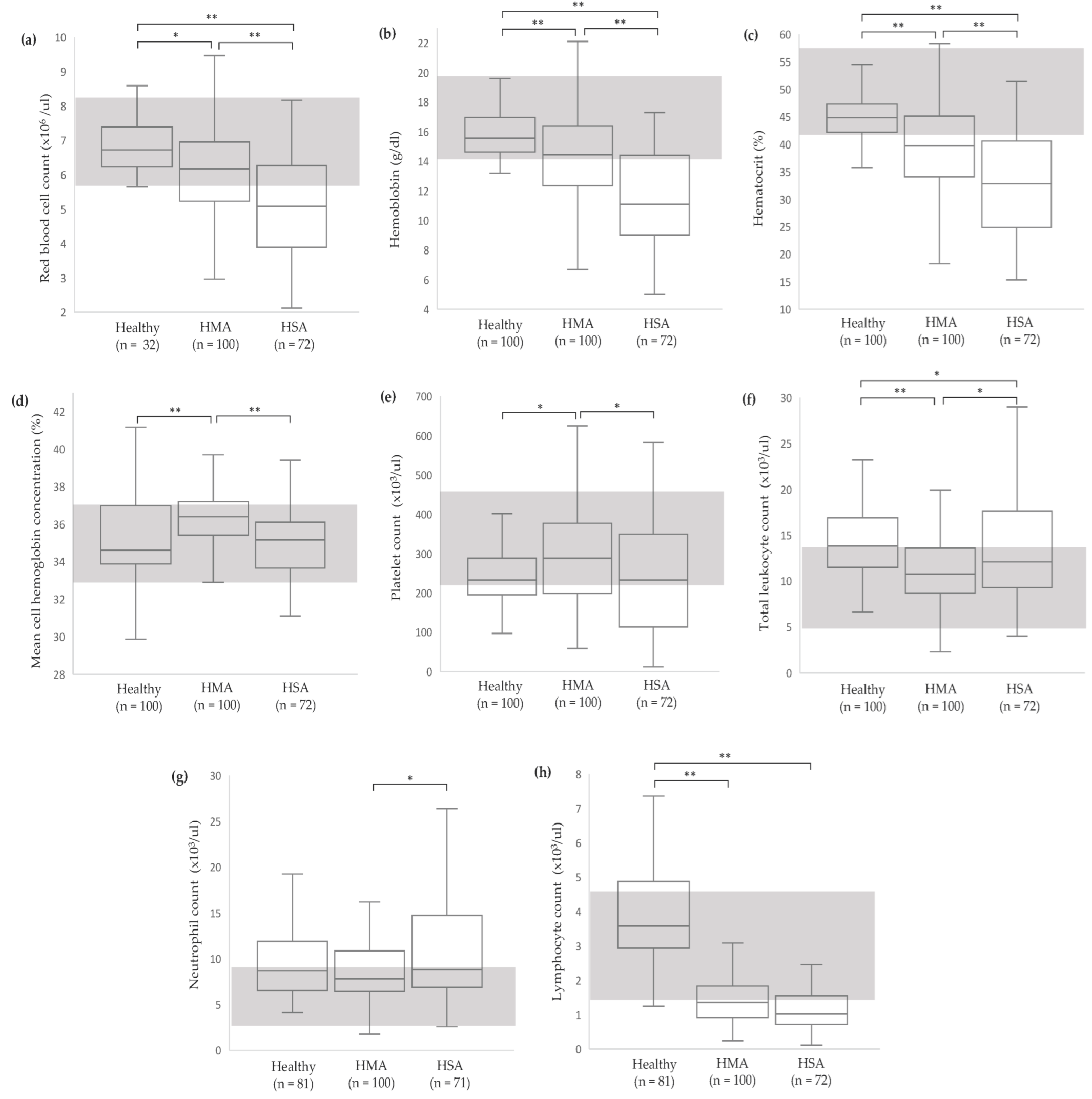 Vetsci 11 00189 g001