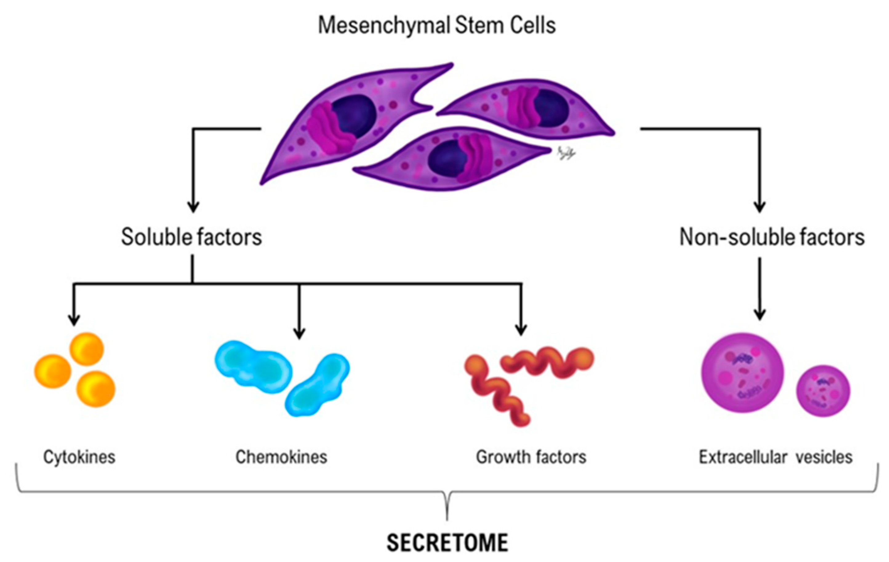 Vetsci 11 00190 g001 Vetsci 11 00190 g001