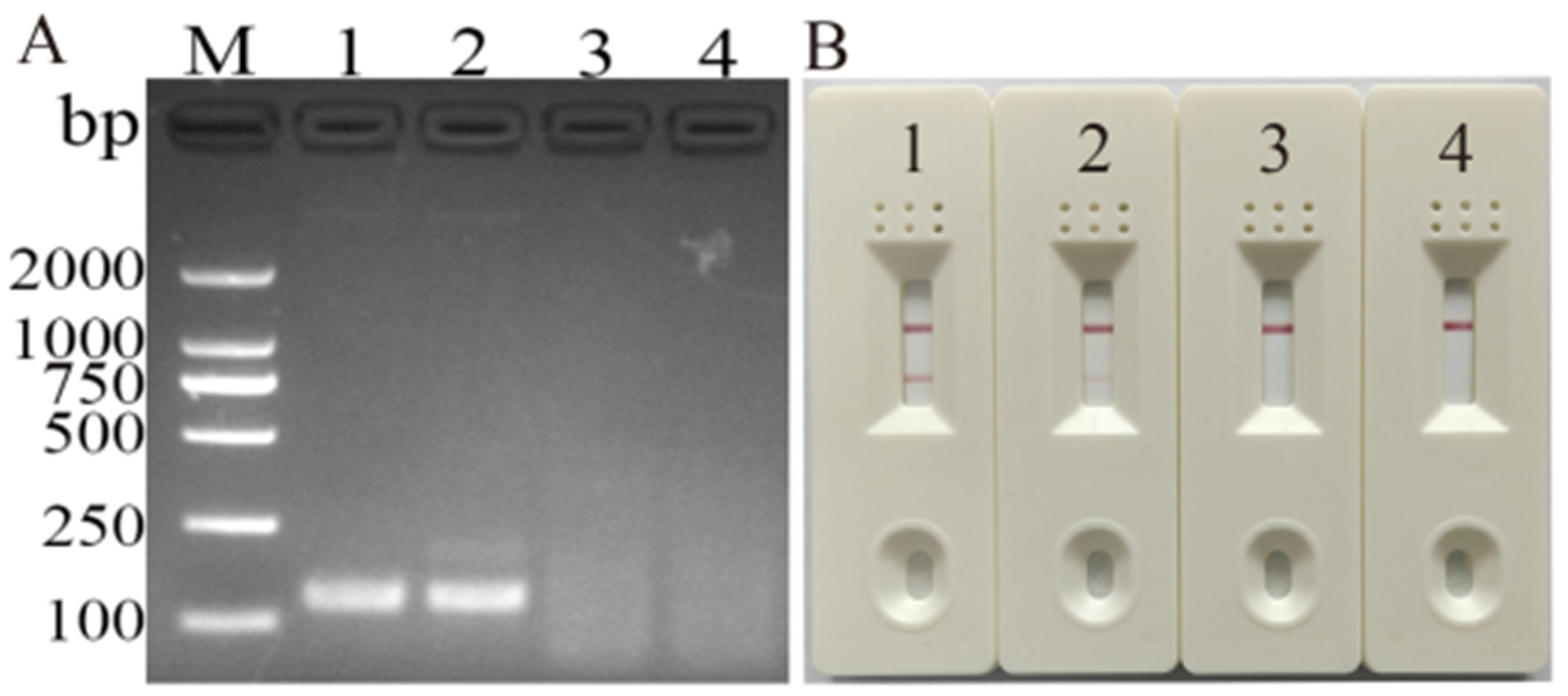 Vetsci 11 00191 g001