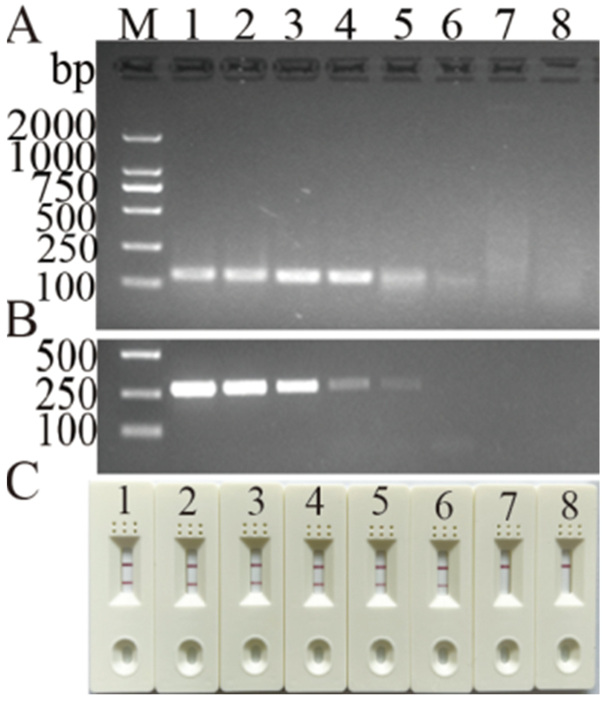 Vetsci 11 00191 g004