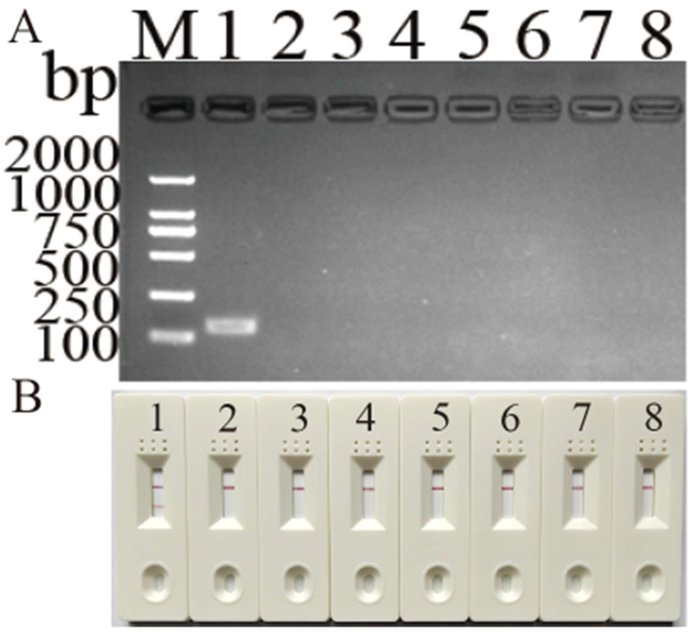 Vetsci 11 00191 g005