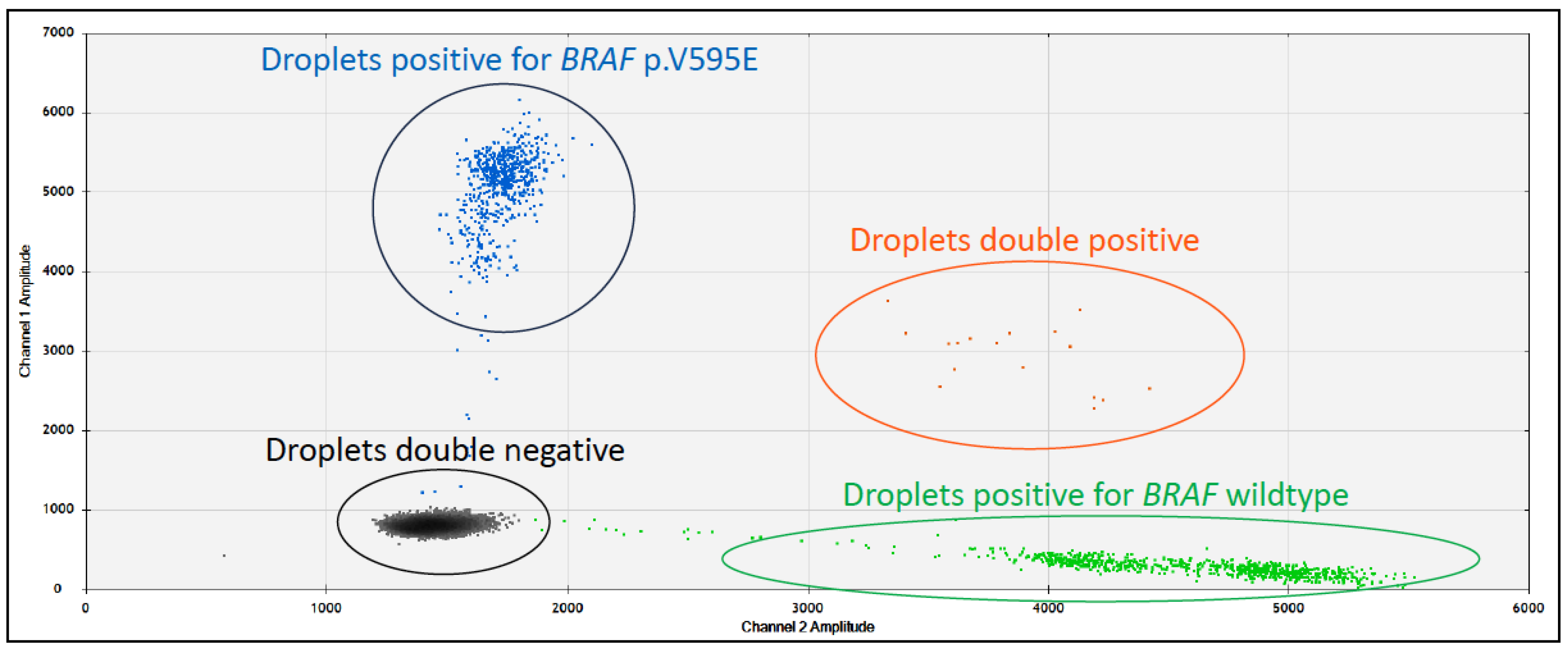 Vetsci 11 00199 g005 Vetsci 11 00199 g005