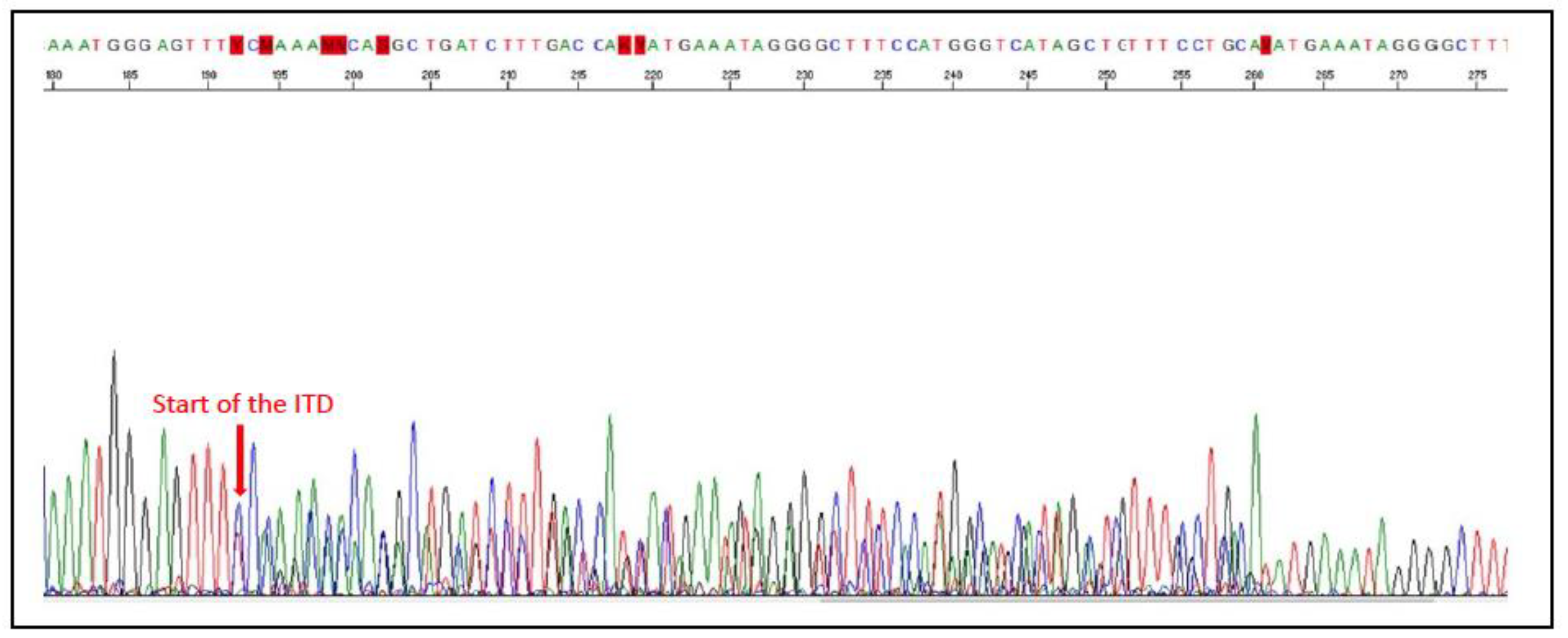 Vetsci 11 00199 g010 Vetsci 11 00199 g010