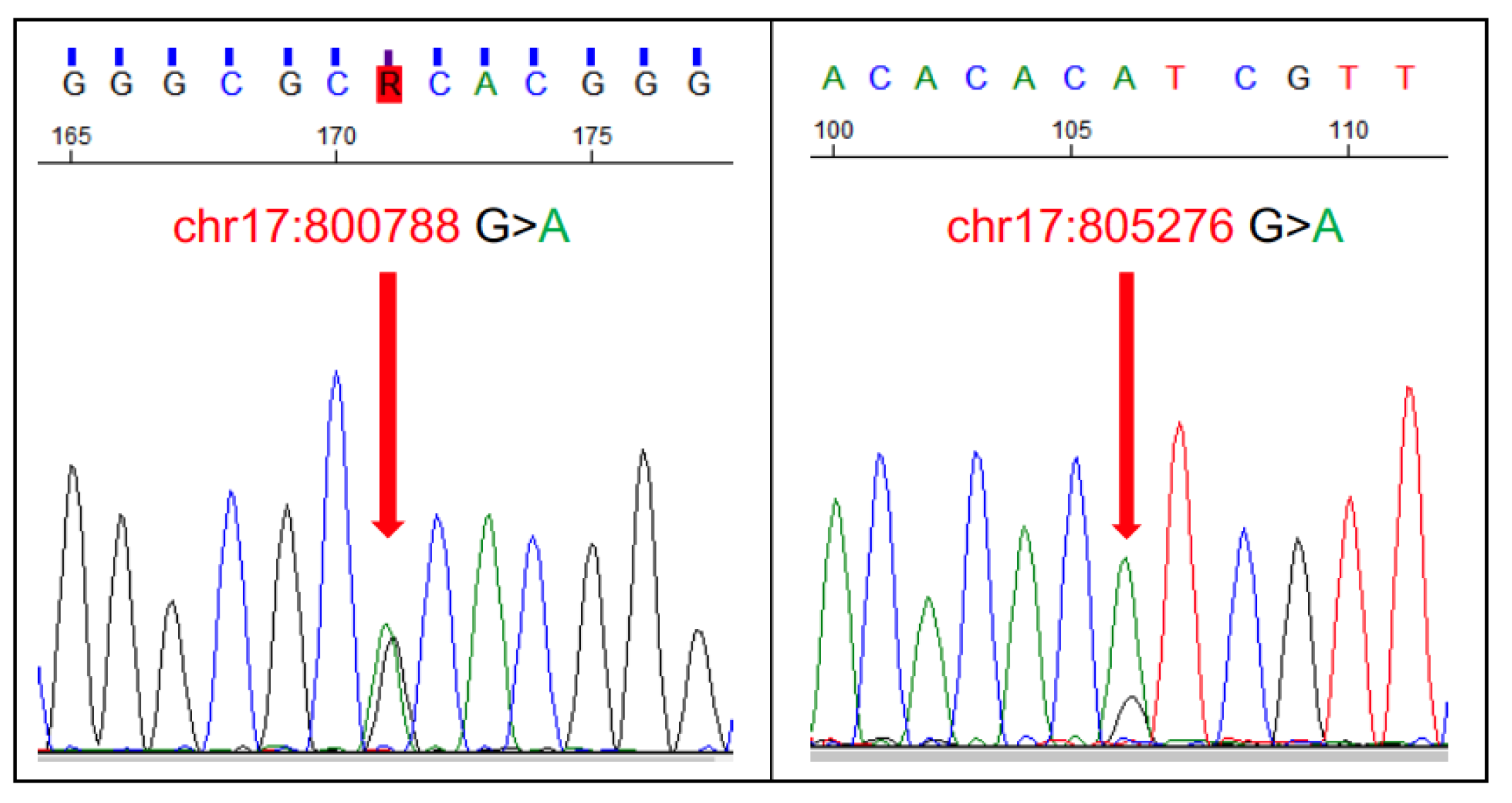 Vetsci 11 00199 g015 Vetsci 11 00199 g015