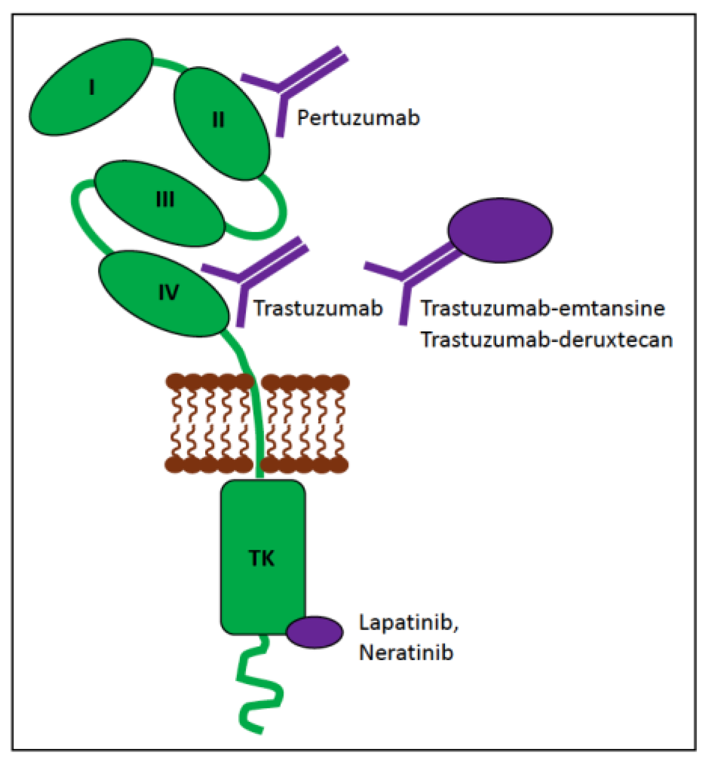 Vetsci 11 00199 g021 Vetsci 11 00199 g021
