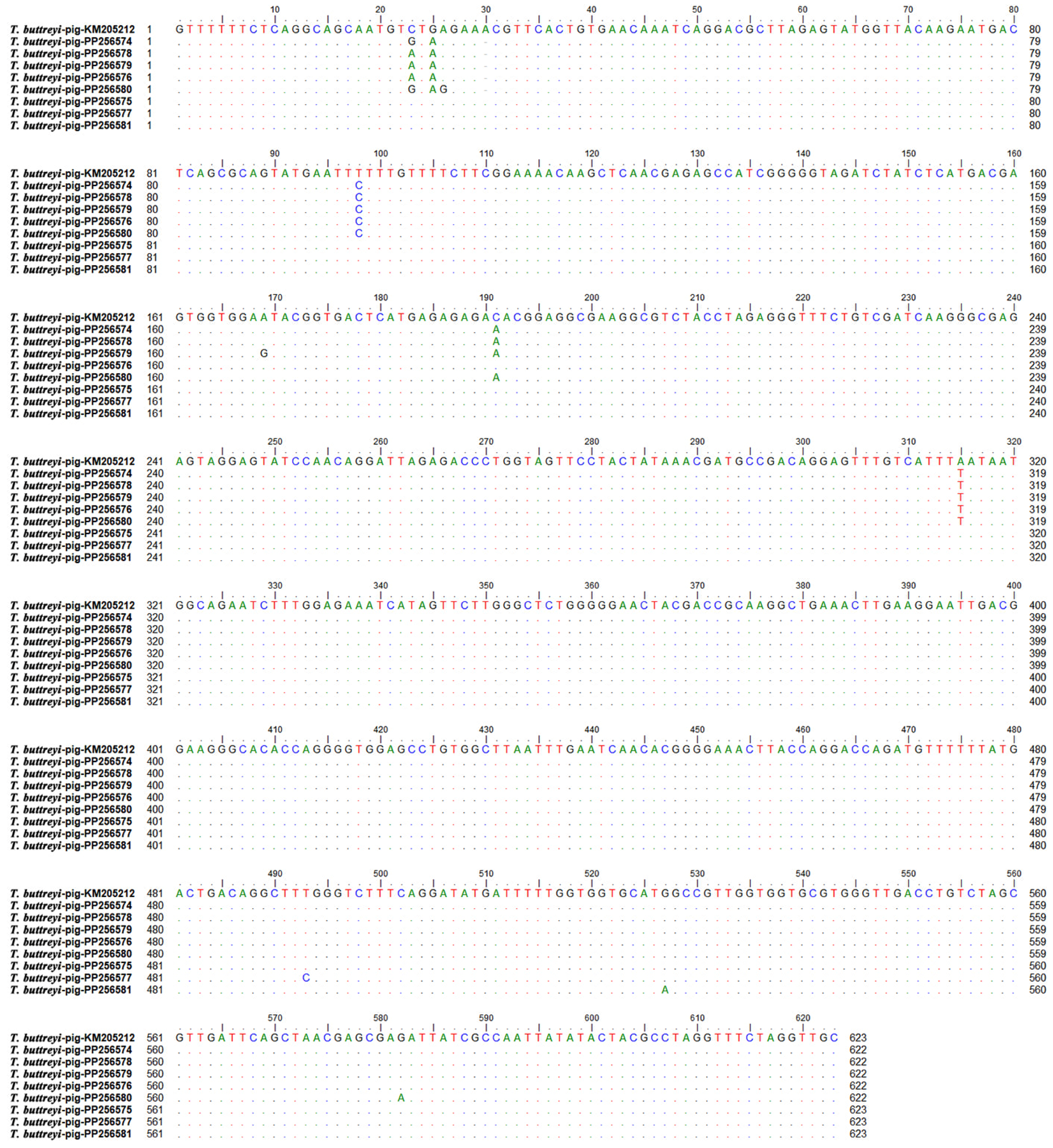 Vetsci 11 00203 g002