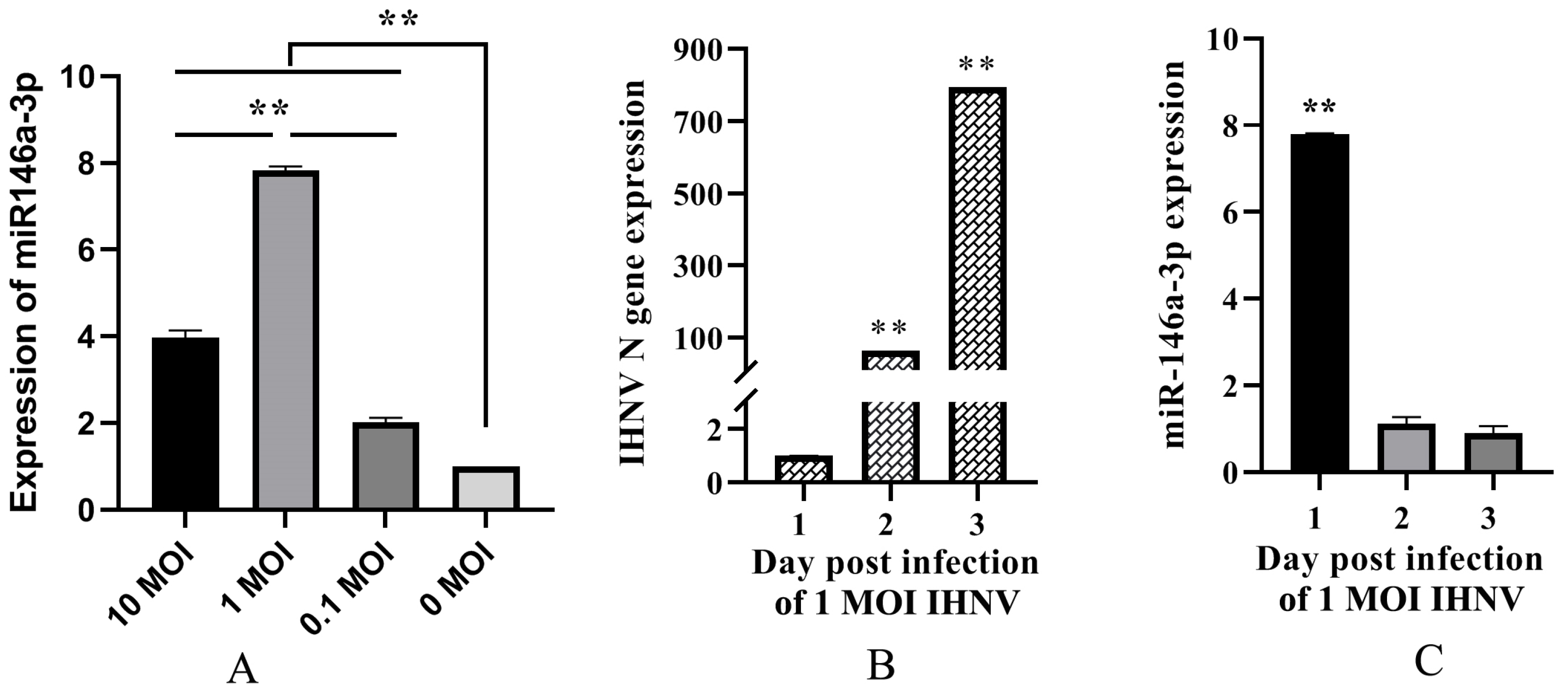 Vetsci 11 00204 g001