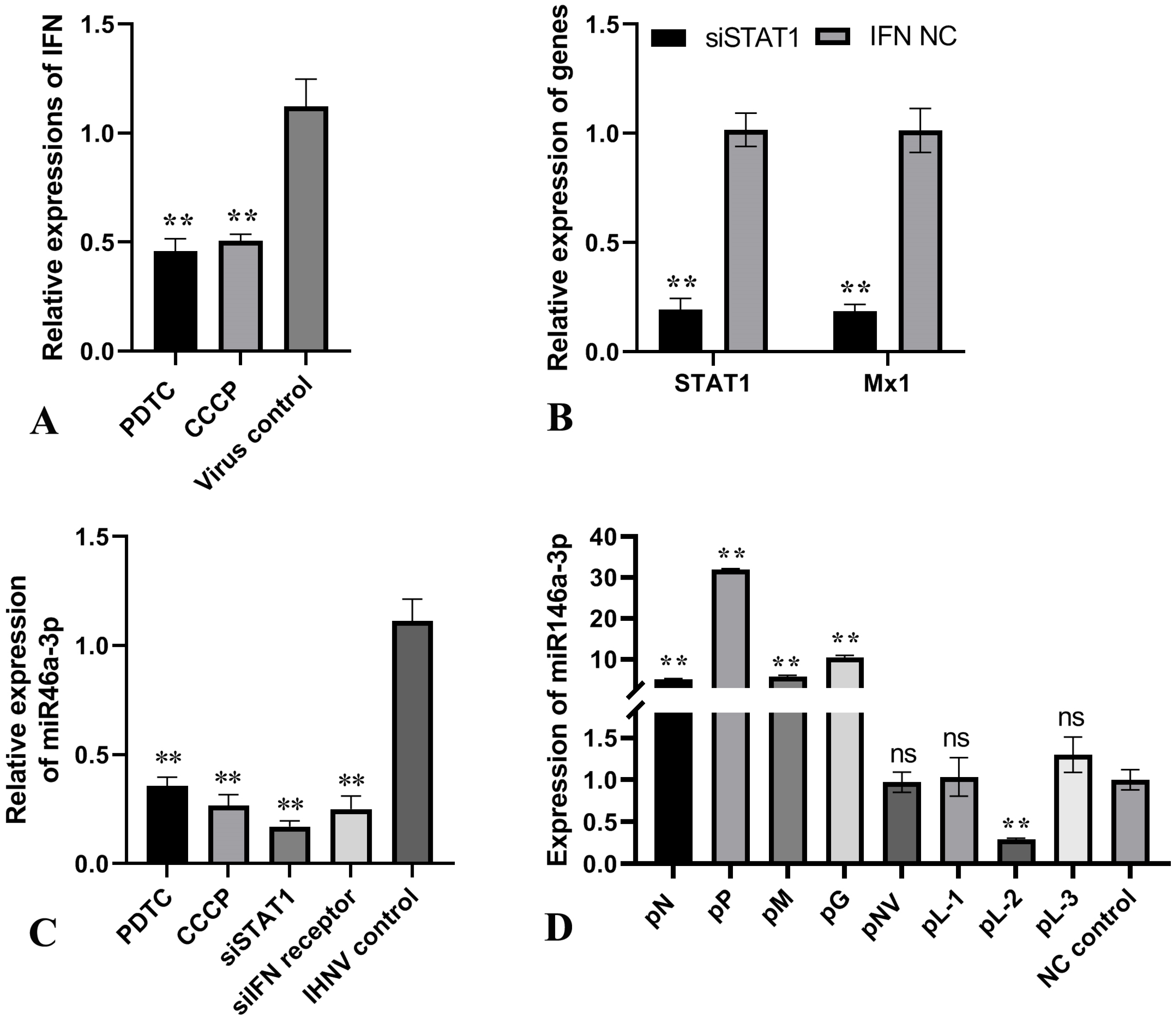 Vetsci 11 00204 g002