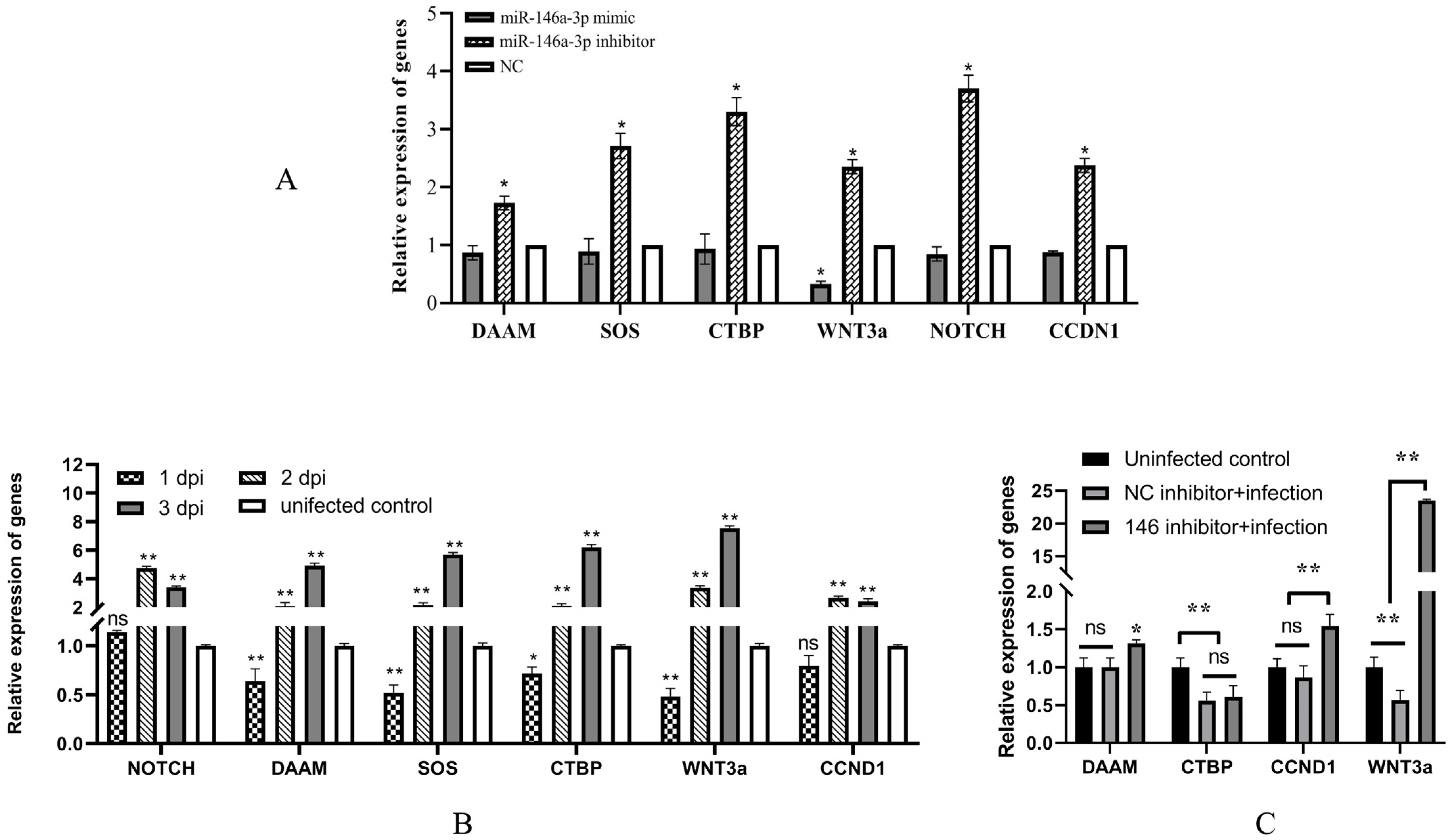 Vetsci 11 00204 g003
