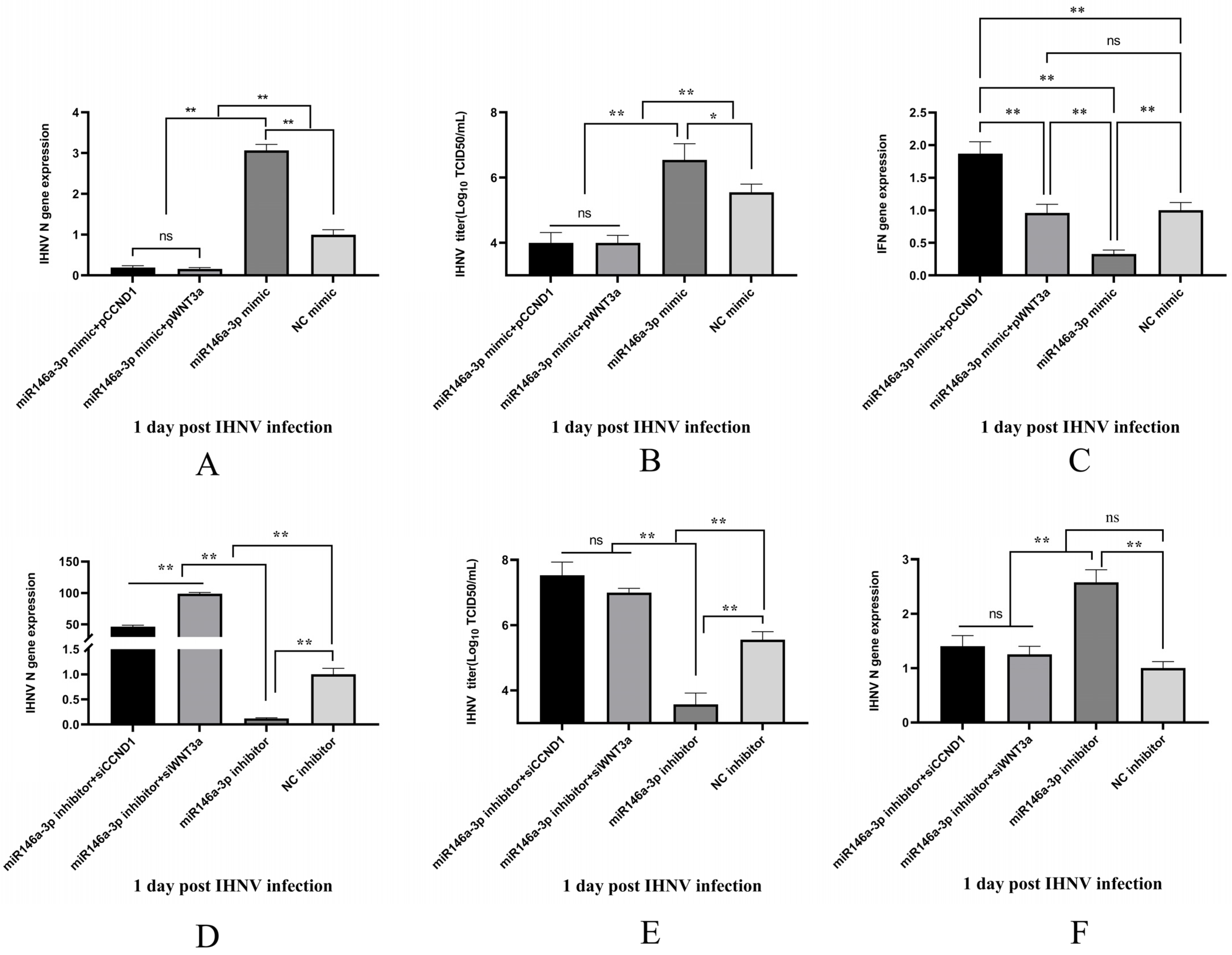 Vetsci 11 00204 g005
