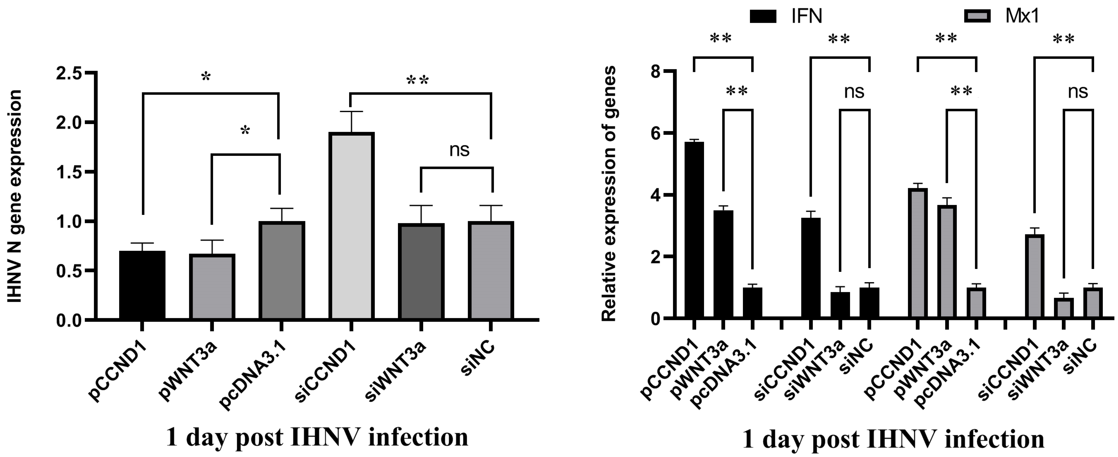 Vetsci 11 00204 g006