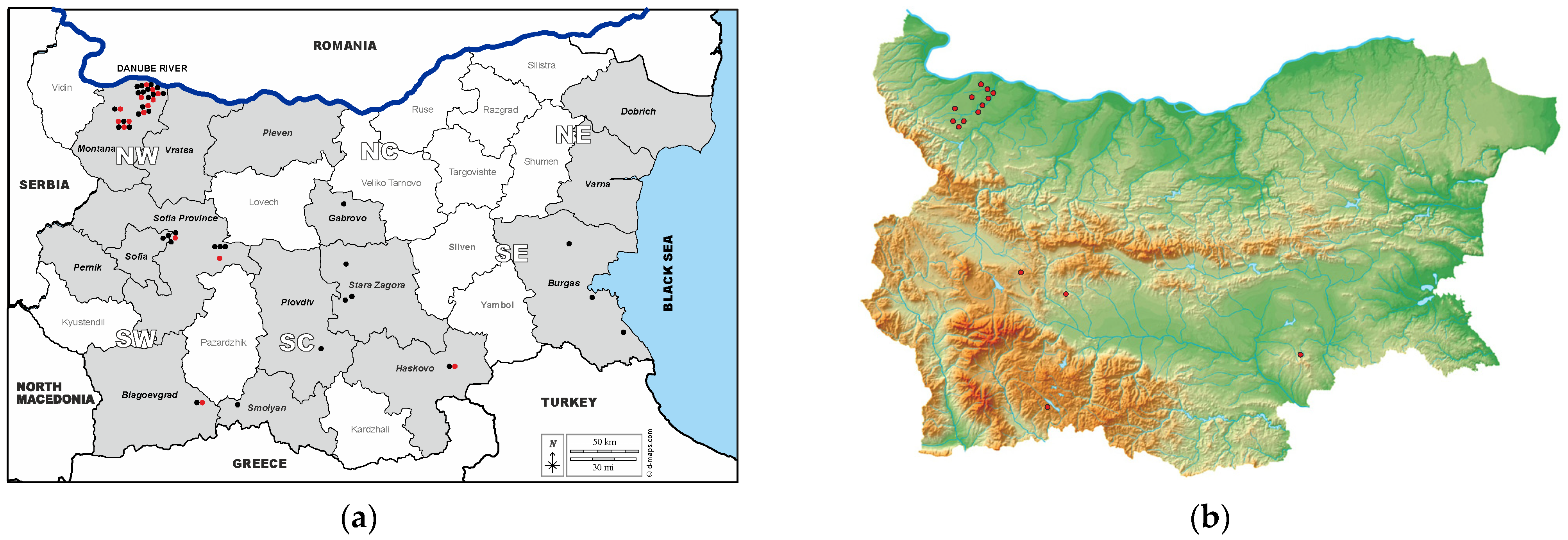 Vetsci 11 00209 g001