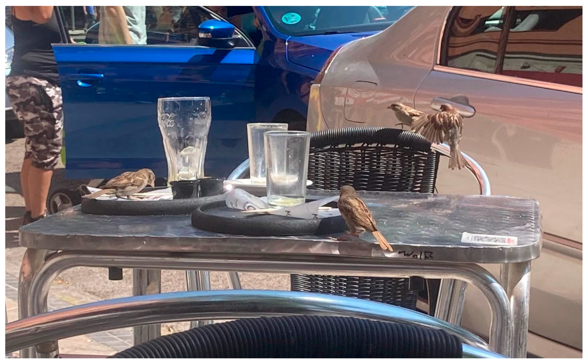 Vetsci 11 00210 g001