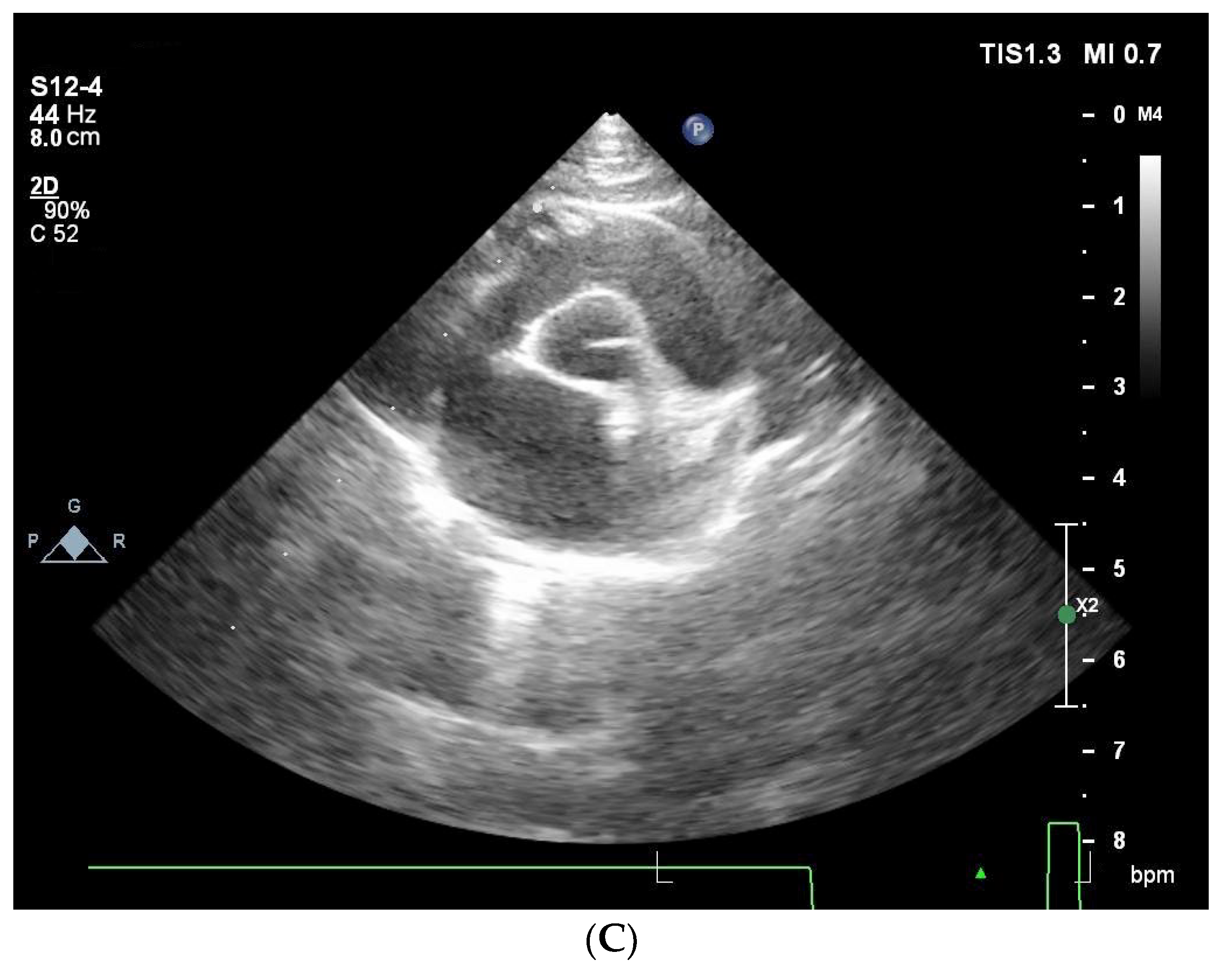Vetsci 11 00214 g001b