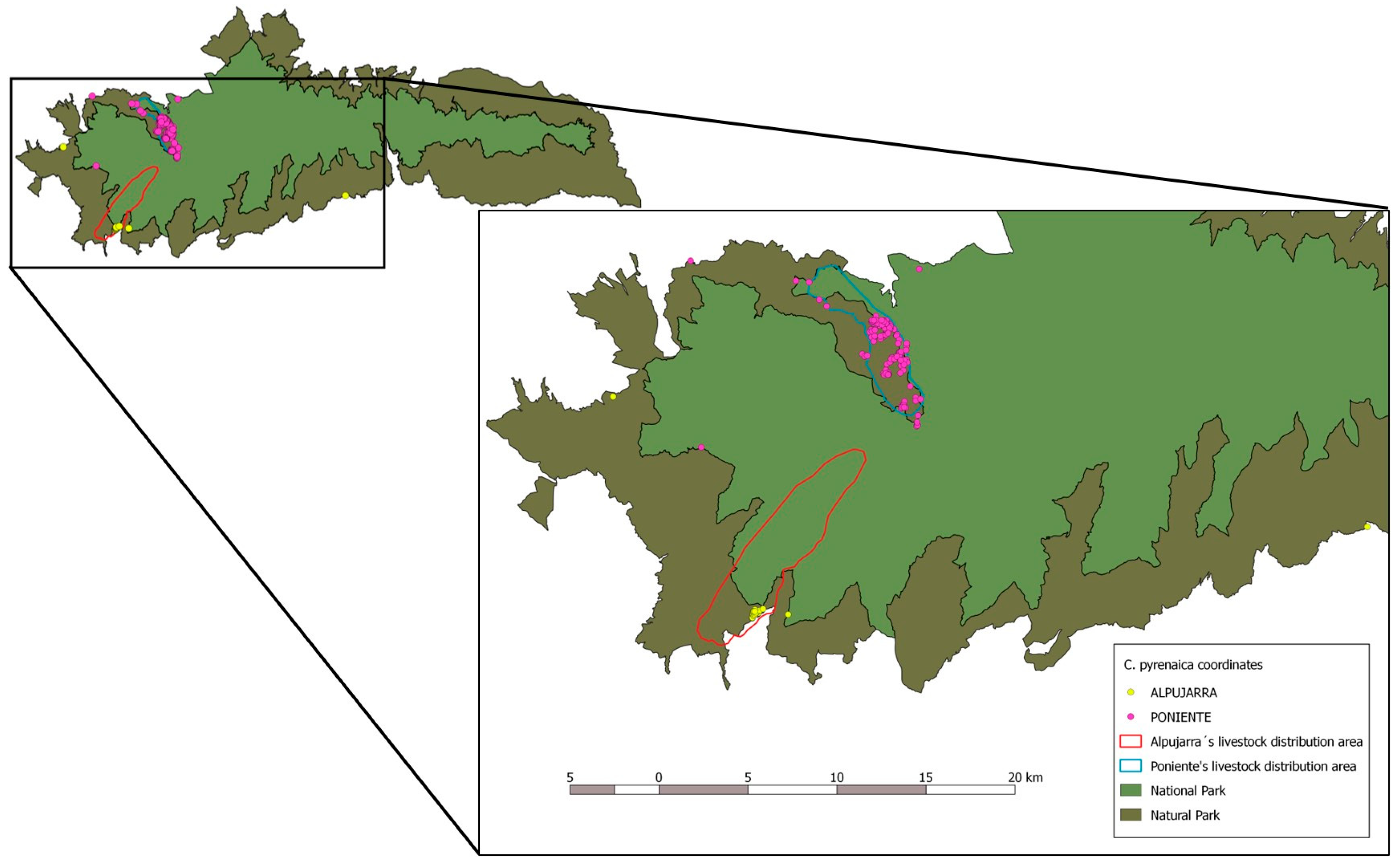 Vetsci 11 00217 g001