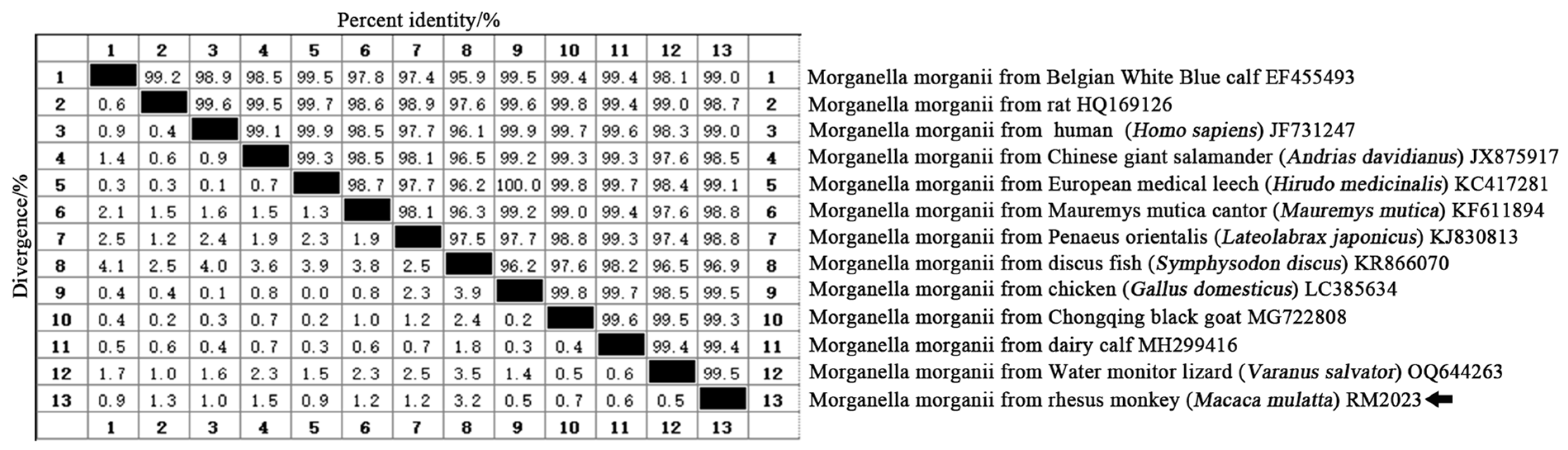 Vetsci 11 00223 g003