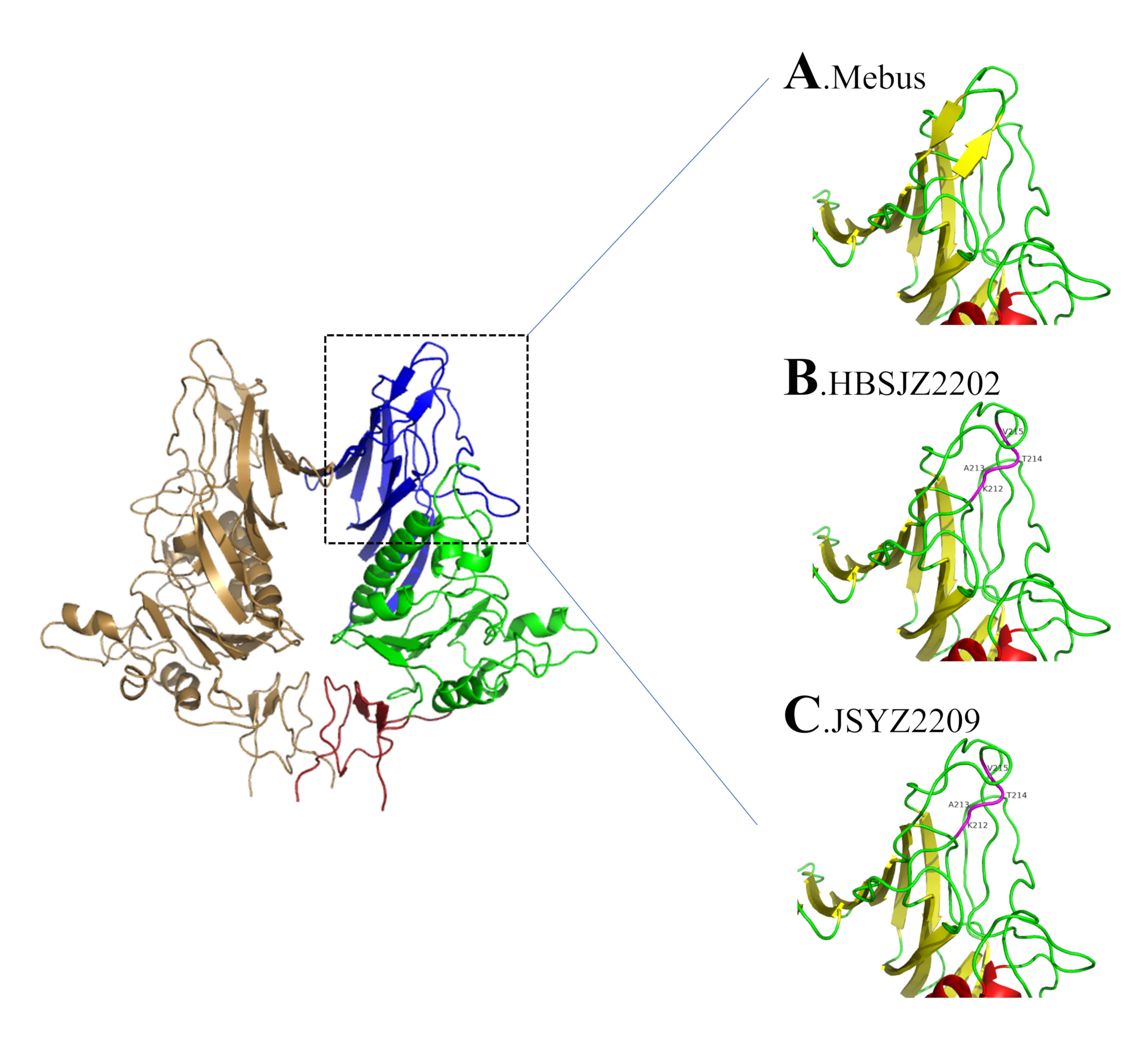 Vetsci 11 00230 g003