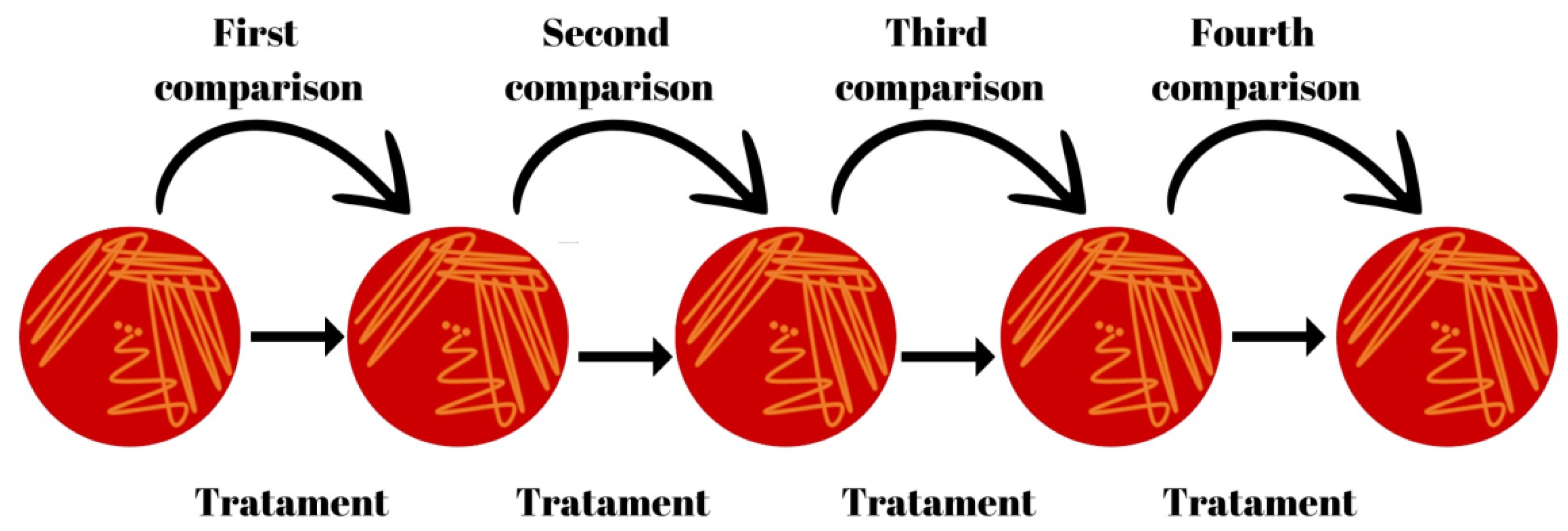 Vetsci 11 00233 g001
