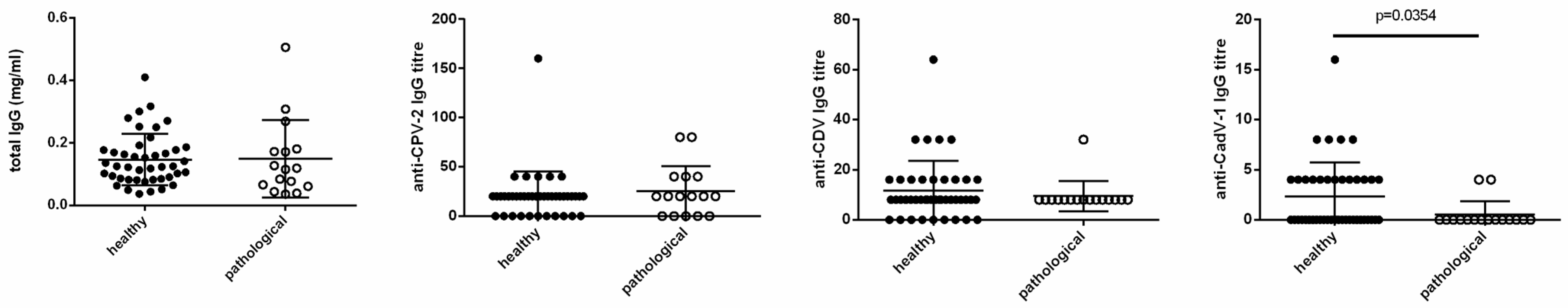Vetsci 11 00234 g006