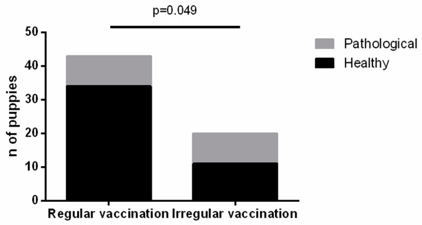 Vetsci 11 00234 g007